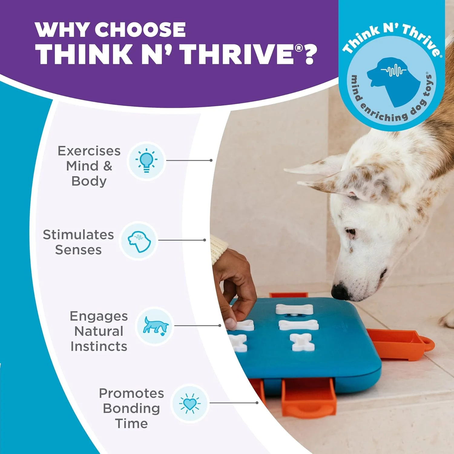 Nina Ottosson Dog Casino Treat Puzzle Enrichment Toy, Level 3 Advanced, Turquoise - Image 6