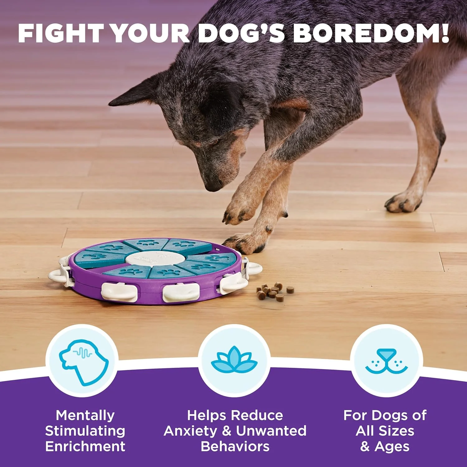 Nina Ottosson Dog Twister Treat Puzzle Enrichment Toy, Level 3 Advanced, Purple - Image 2