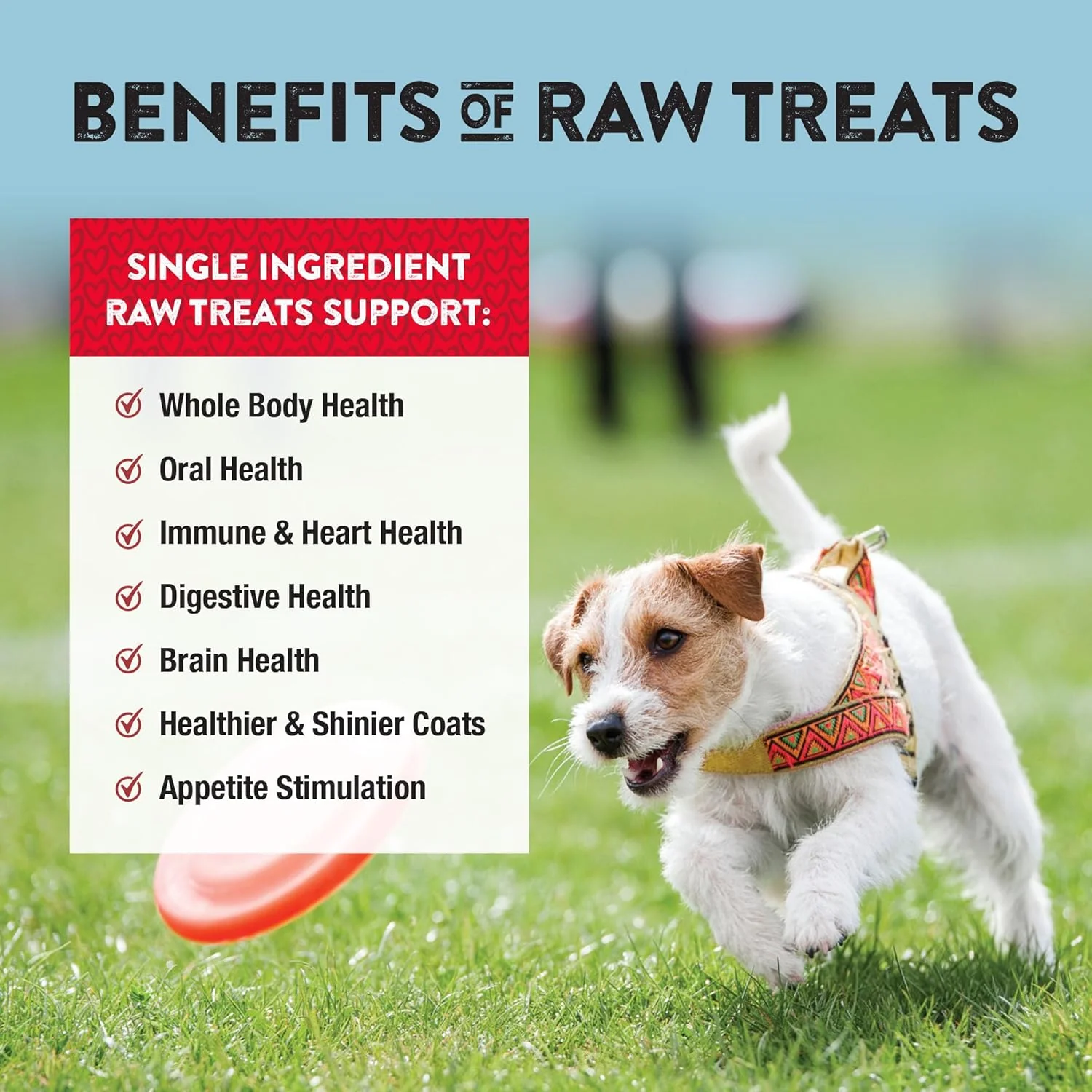 Northwest Naturals Raw Rewards Freeze-Dried Beef Heart Treats for Dogs and Cats - Bite-Sized Pieces - Healthy, 1 Ingredient, Human Grade Pet Food, All Natural, Proudly Made in USA - Image 5