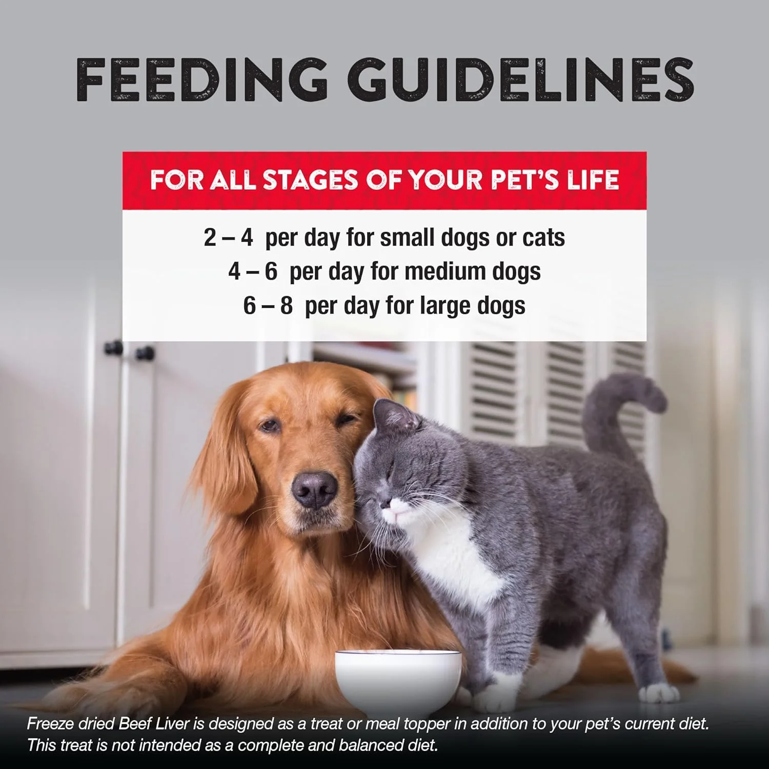 Northwest Naturals Raw Rewards Freeze-Dried Beef Liver Treats for Dogs and Cats - Bite-Sized Pieces - Healthy, 1 Ingredient, Human Grade Pet Food, All Natural, Proudly Made in USA, 3 Oz - Image 4