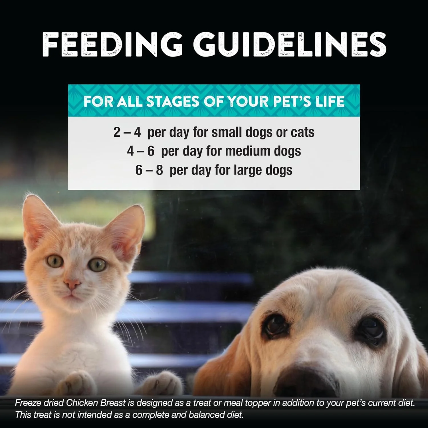 Northwest Naturals Raw Rewards Freeze-Dried Chicken Breast Treats for Dogs and Cats - Bite-Sized Pieces - Healthy, 1 Ingredient, Human Grade Pet Food, All Natural, Proudly Made in USA - Image 4