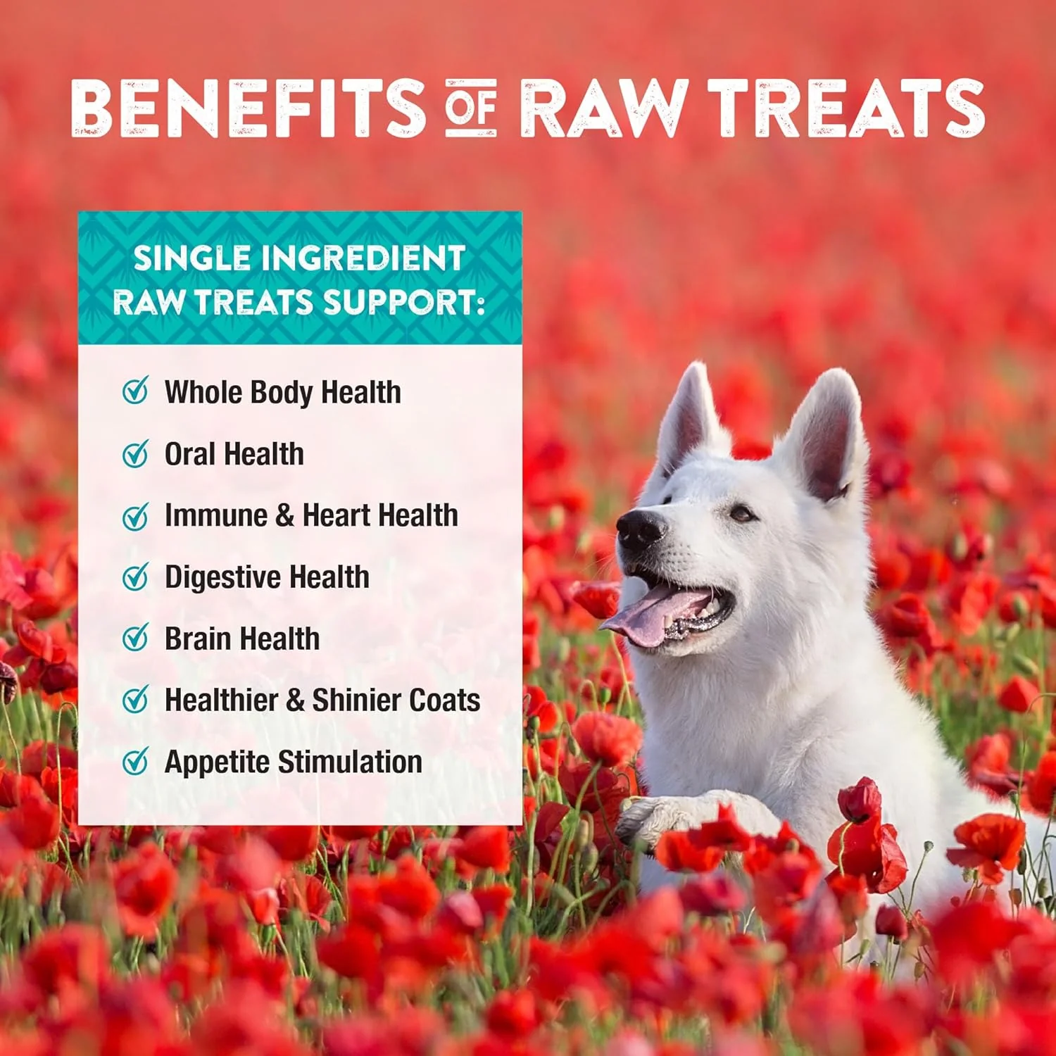 Northwest Naturals Raw Rewards Freeze-Dried Chicken Breast Treats for Dogs and Cats - Bite-Sized Pieces - Healthy, 1 Ingredient, Human Grade Pet Food, All Natural, Proudly Made in USA - Image 5