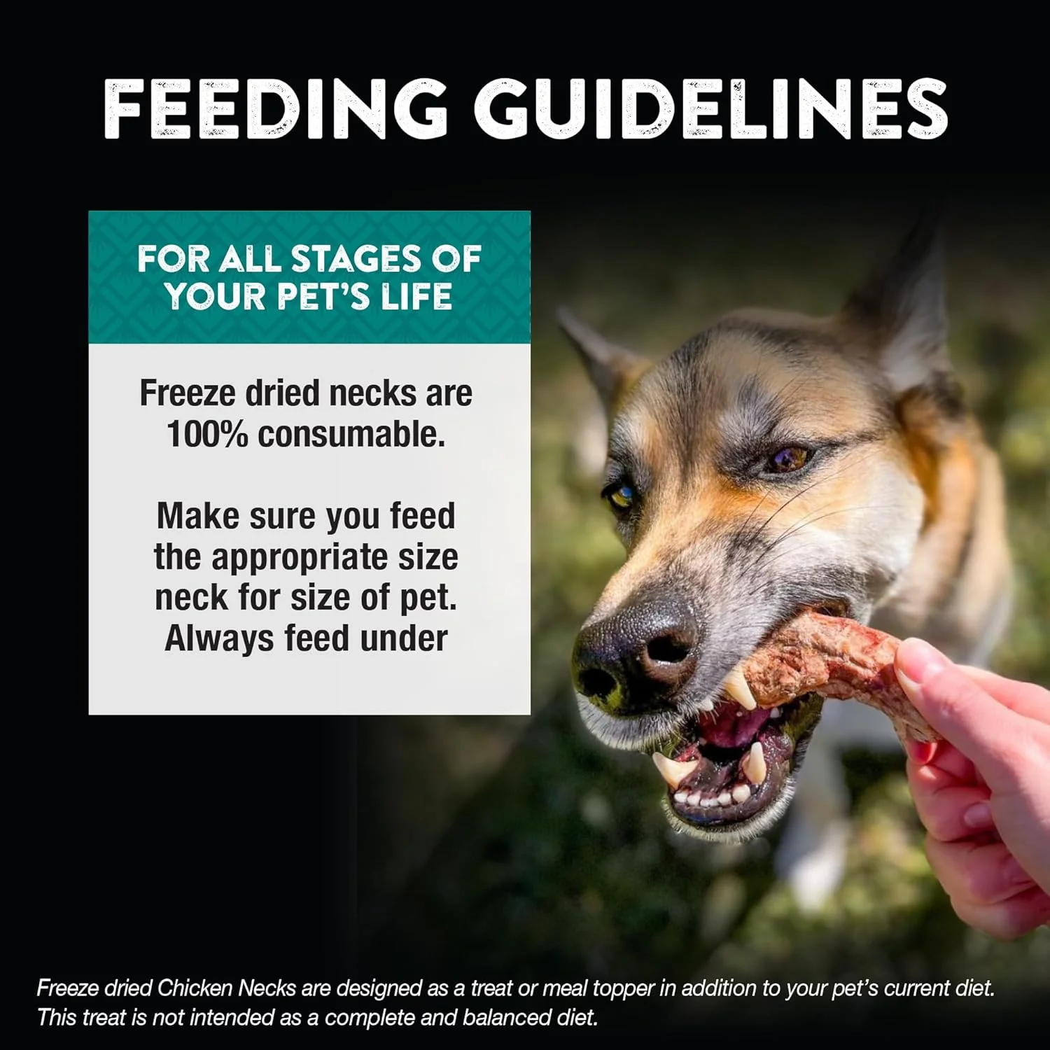 Northwest Naturals Raw Rewards Freeze-Dried Chicken Neck Treats for Dogs and Cats - Whole Neck - Healthy, 1 Ingredient, Human Grade Ingredients, All Natural, Proudly Made in USA, 4 Oz - Image 4