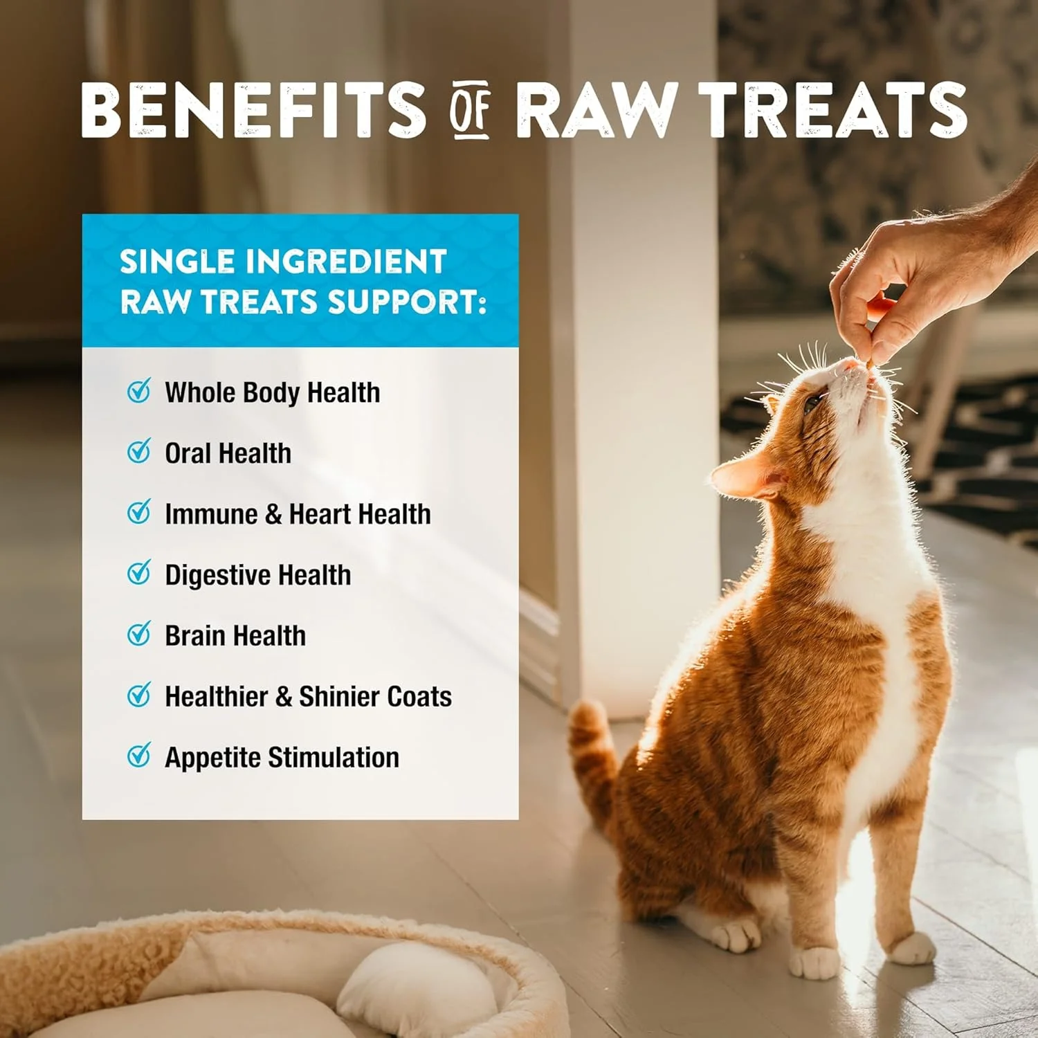 Northwest Naturals Raw Rewards Freeze-Dried Minnow Treats for Dogs and Cats - Bite Sized Pieces - Grain Free - 1 Ingredient - Healthy - Human Grade - All Natural - USA Made - 1 Oz - Image 5