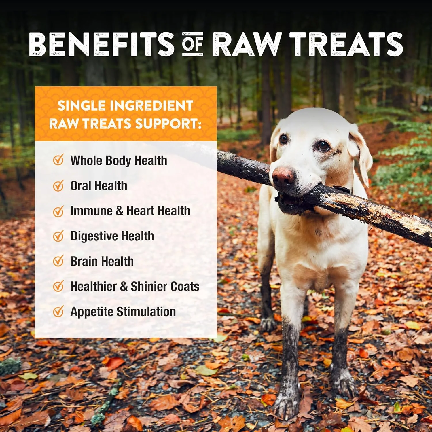 Northwest Naturals Raw Rewards Freeze-Dried Turkey Neck Treats for Dogs and Cats - Whole Neck - Healthy, 1 Ingredient, Human Grade Ingredients, All Natural, Proudly Made in USA, 6 Oz - Image 5