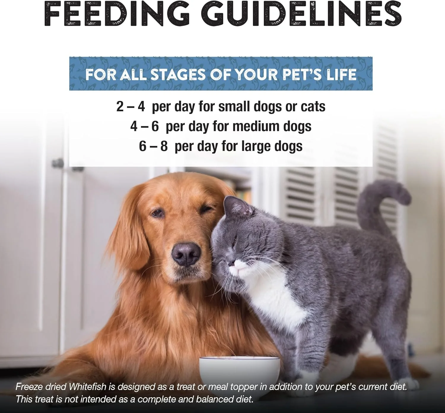 Northwest Naturals Raw Rewards Freeze-Dried Whitefish Treats for Dogs and Cats - Bite-Sized Pieces - Healthy, 1 Ingredient, Human Grade Pet Food, All Natural, Proudly Made in USA - Image 4