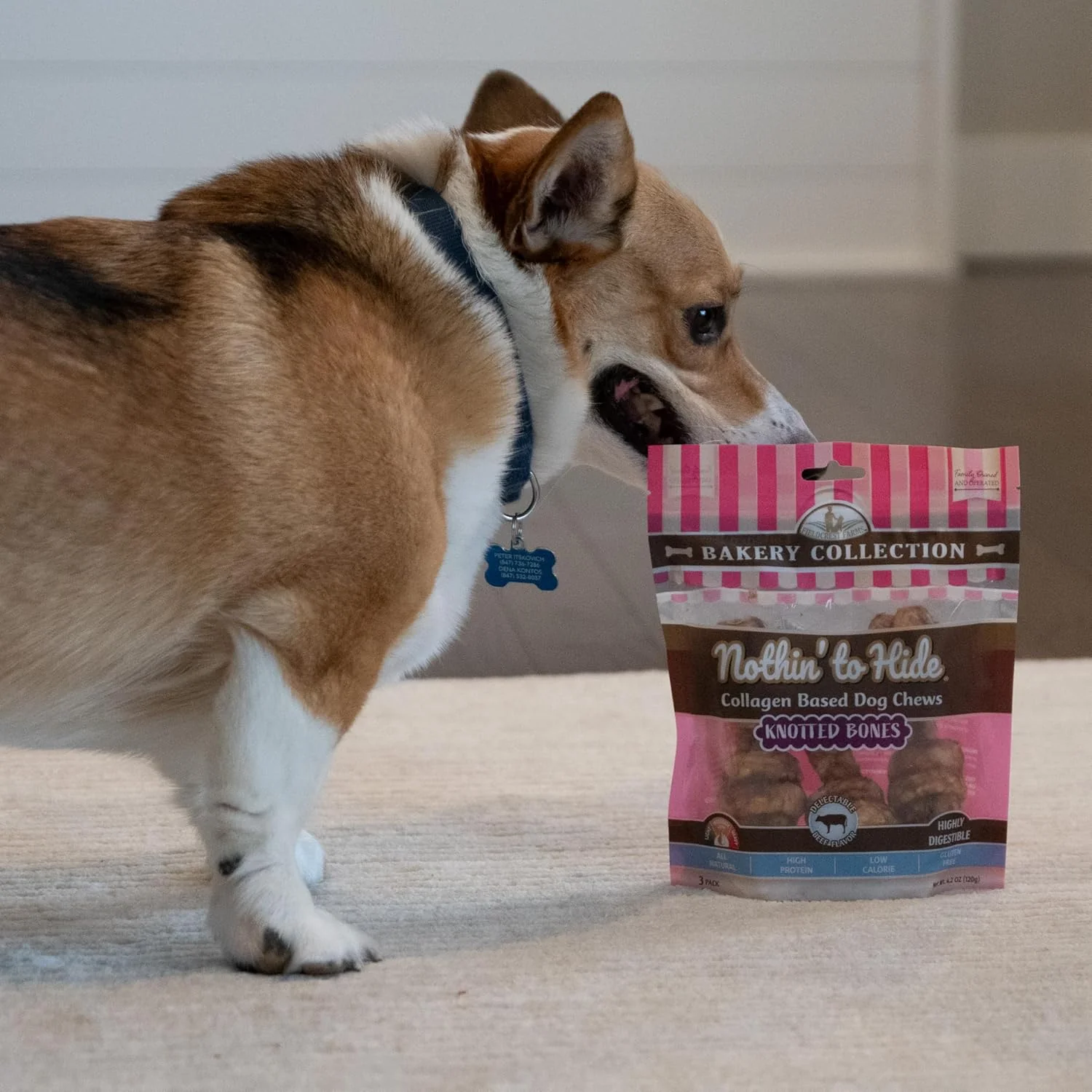 Nothin' to Hide Collagen-Based Dog Chews Small Knotted Bones, Beef Flavor, Easily Digestible, Supports Skin, Coat, Joints & Muscles, for Moderate Chewers Under 15lbs - Image 7