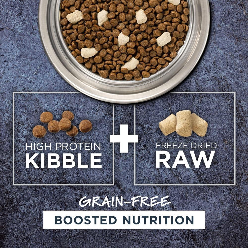 Instinct Raw Boost, Natural Dry Cat Food with Freeze Dried Pieces, High Protein, Grain Free Recipe - Real Chicken - Image 3
