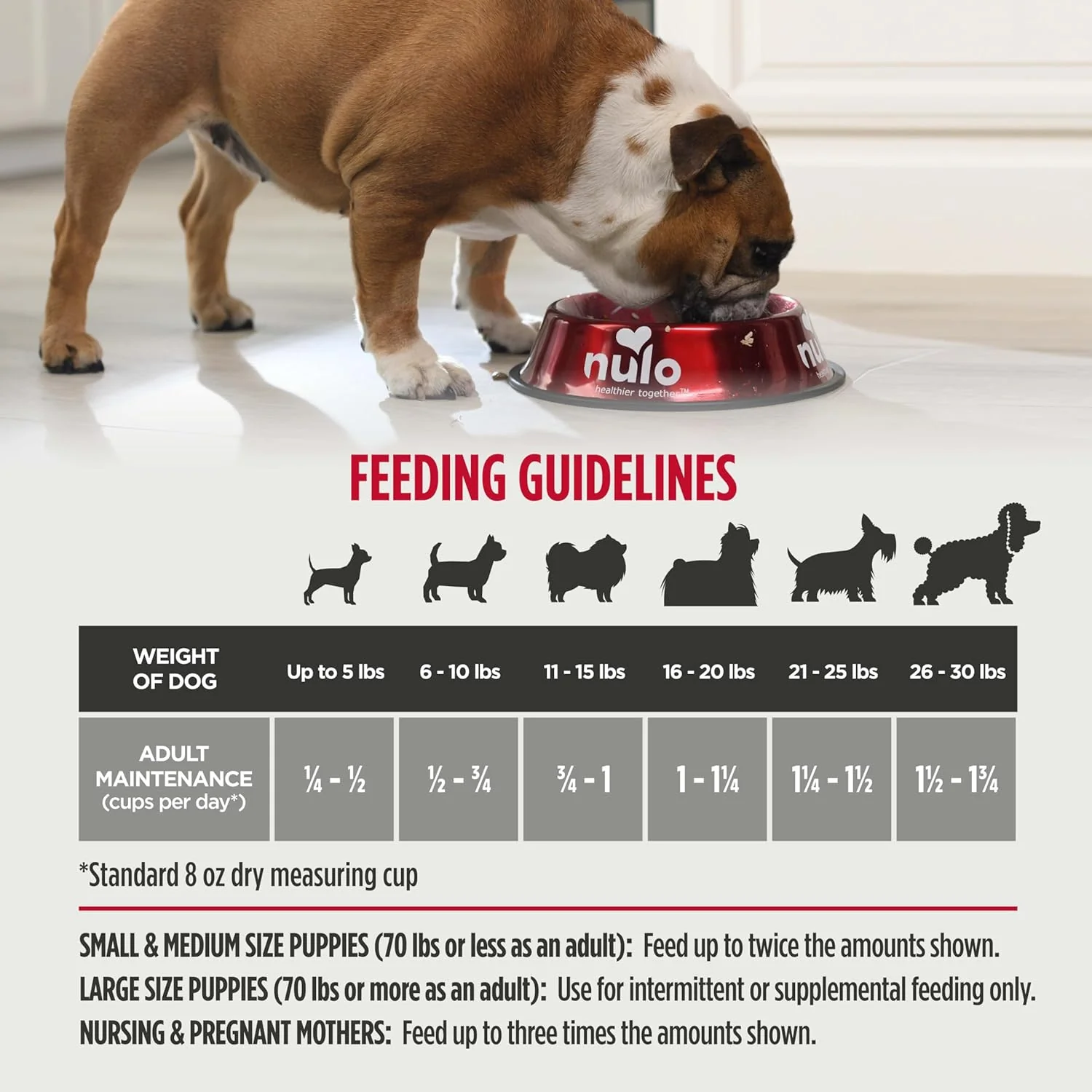 Nulo Freestyle High Protein Small Breed Beef & Sweet Potato Recipe Natural Dry Kibble Dog Food - Image 4