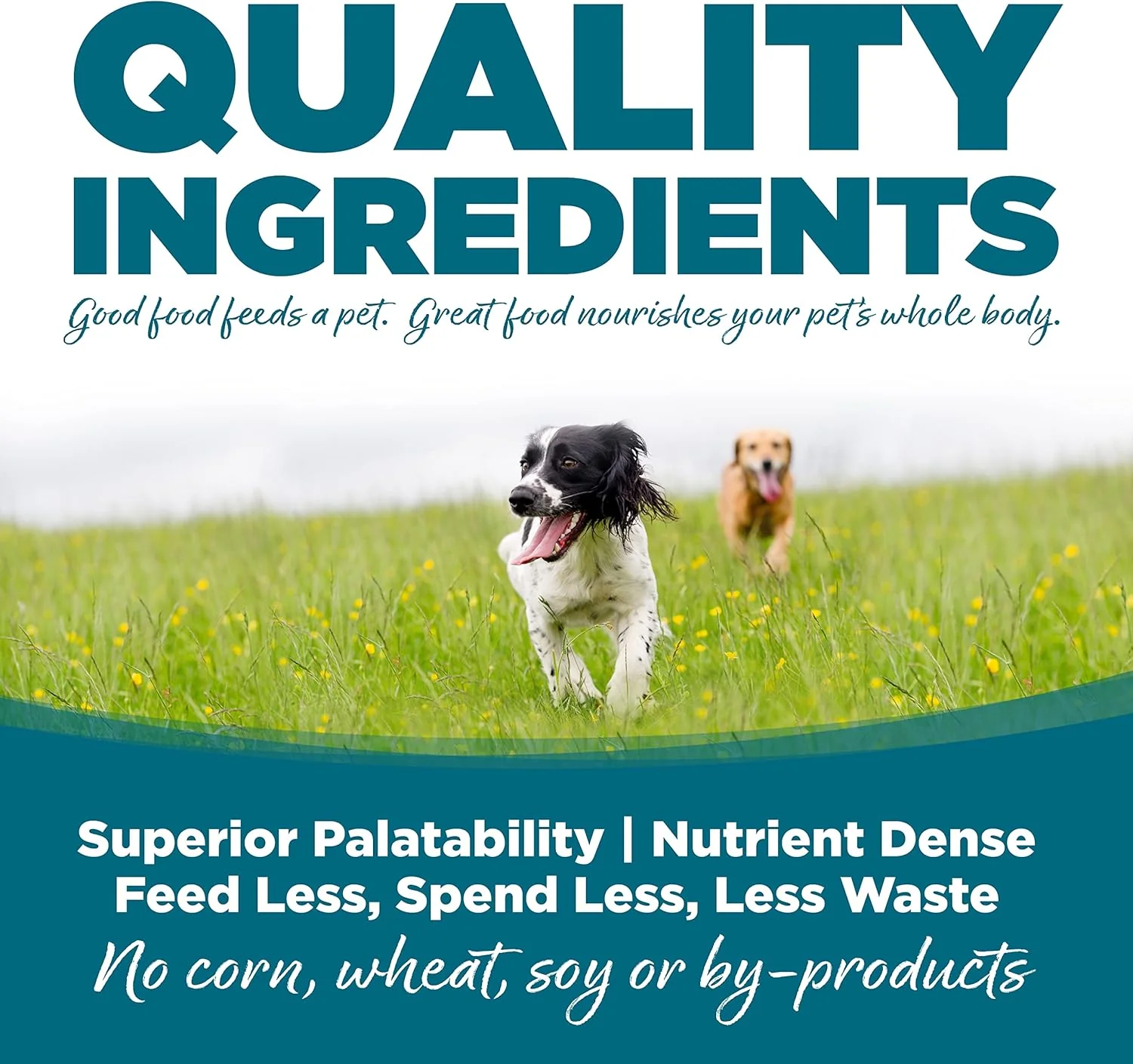 NutriSource Adult Chicken & Rice Small Bites Dog Food 15lb - Image 7