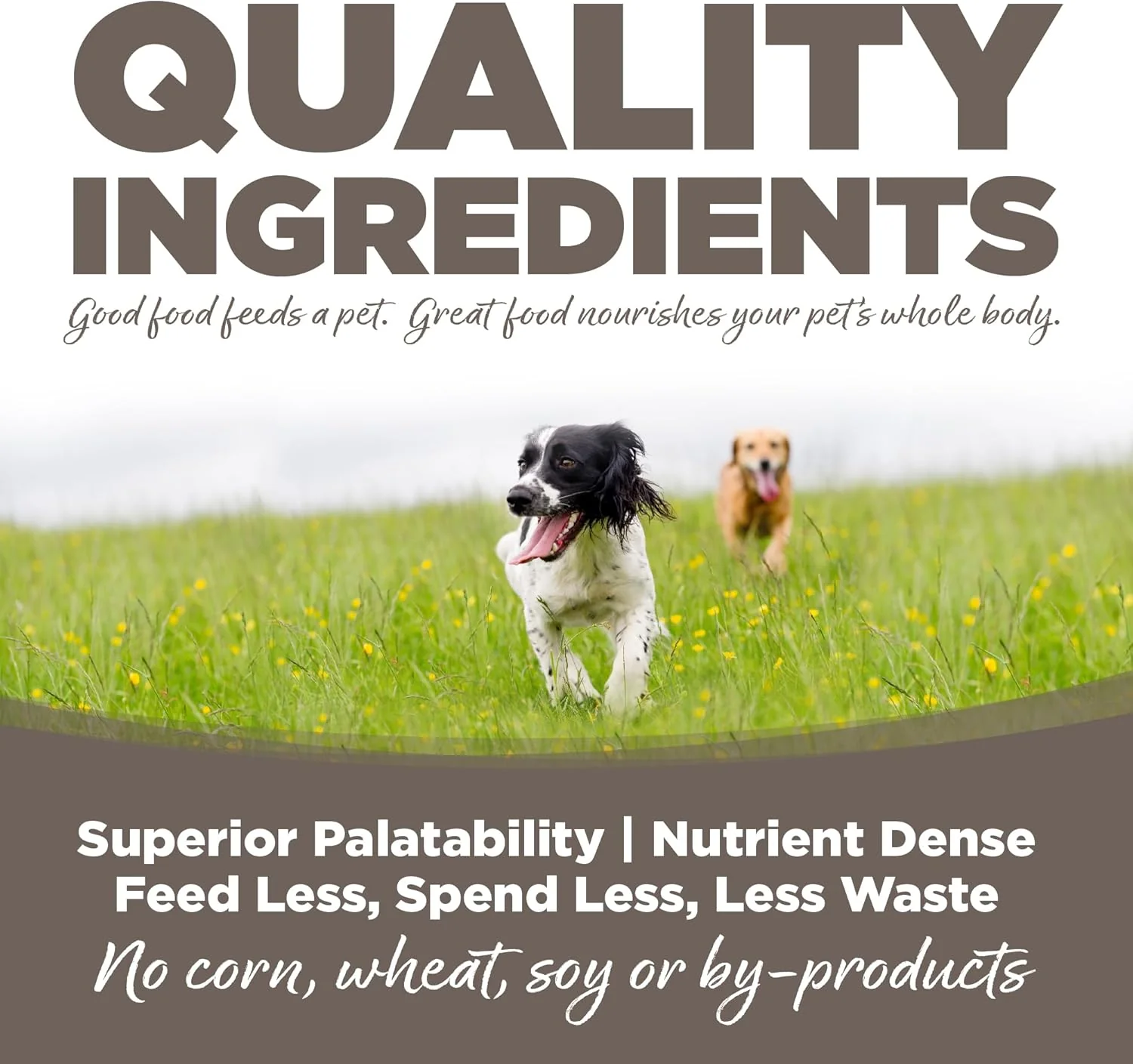NutriSource Dry Dog Food for Seniors, Chicken and Rice, 12LB - Image 4