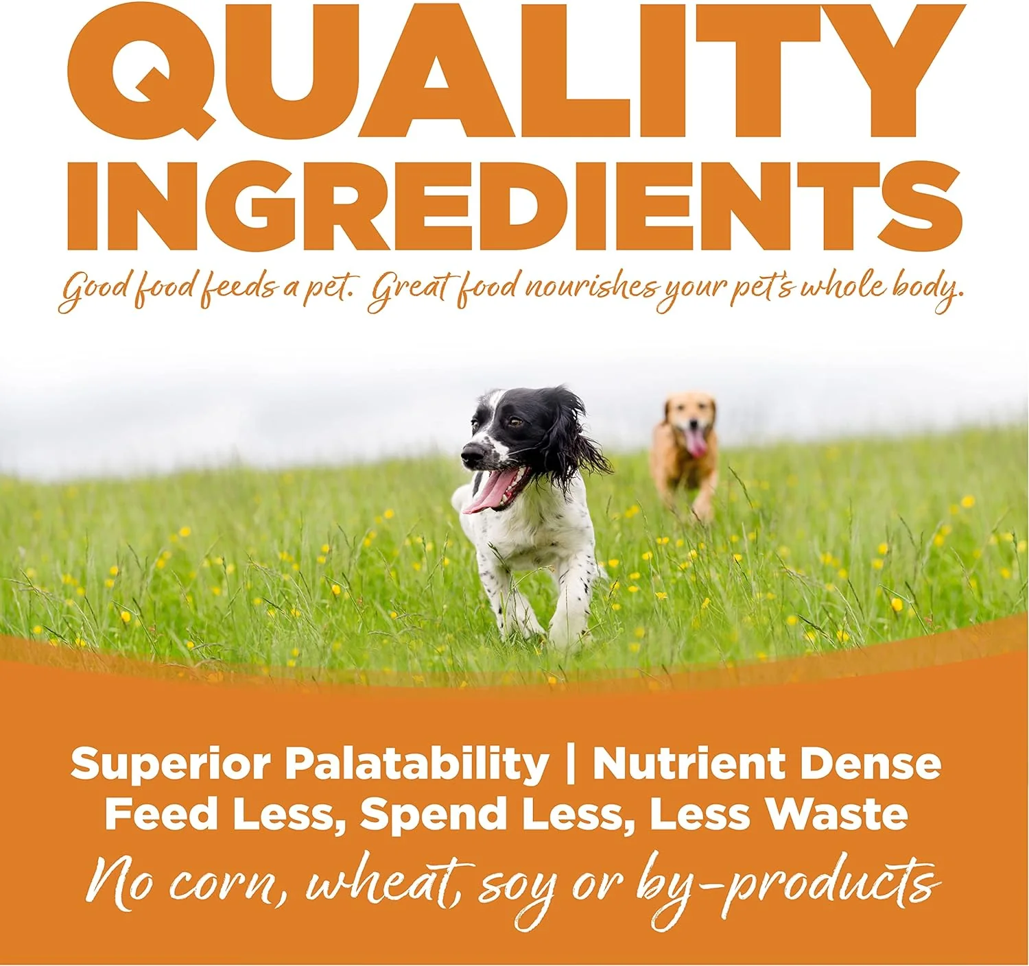 NutriSource, Lamb Meal & Rice Recipe with Wholesome Grains Dry Dog Food, 4lb - Image 3