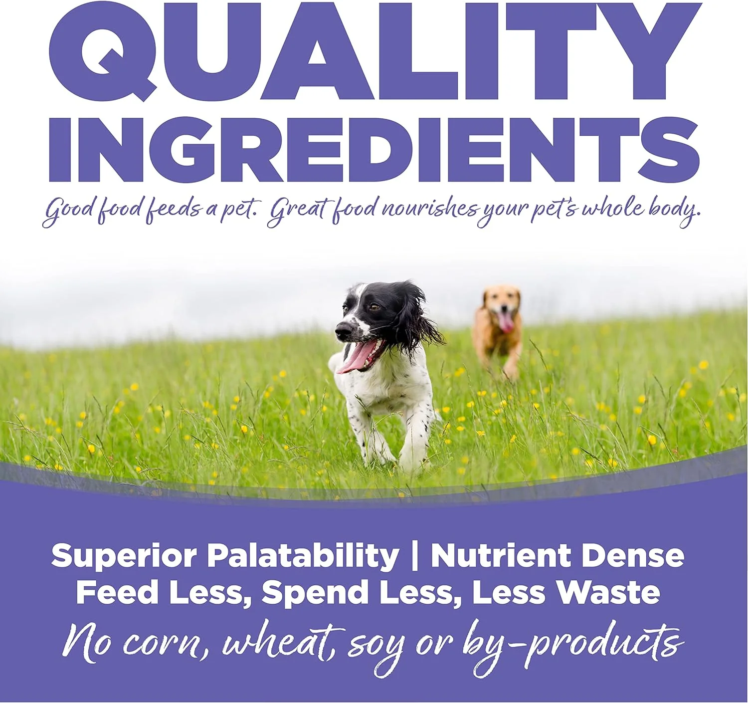 NutriSource Puppy Food for Small and Medium Breeds, Chicken Meal and Rice, 26LB - Image 3