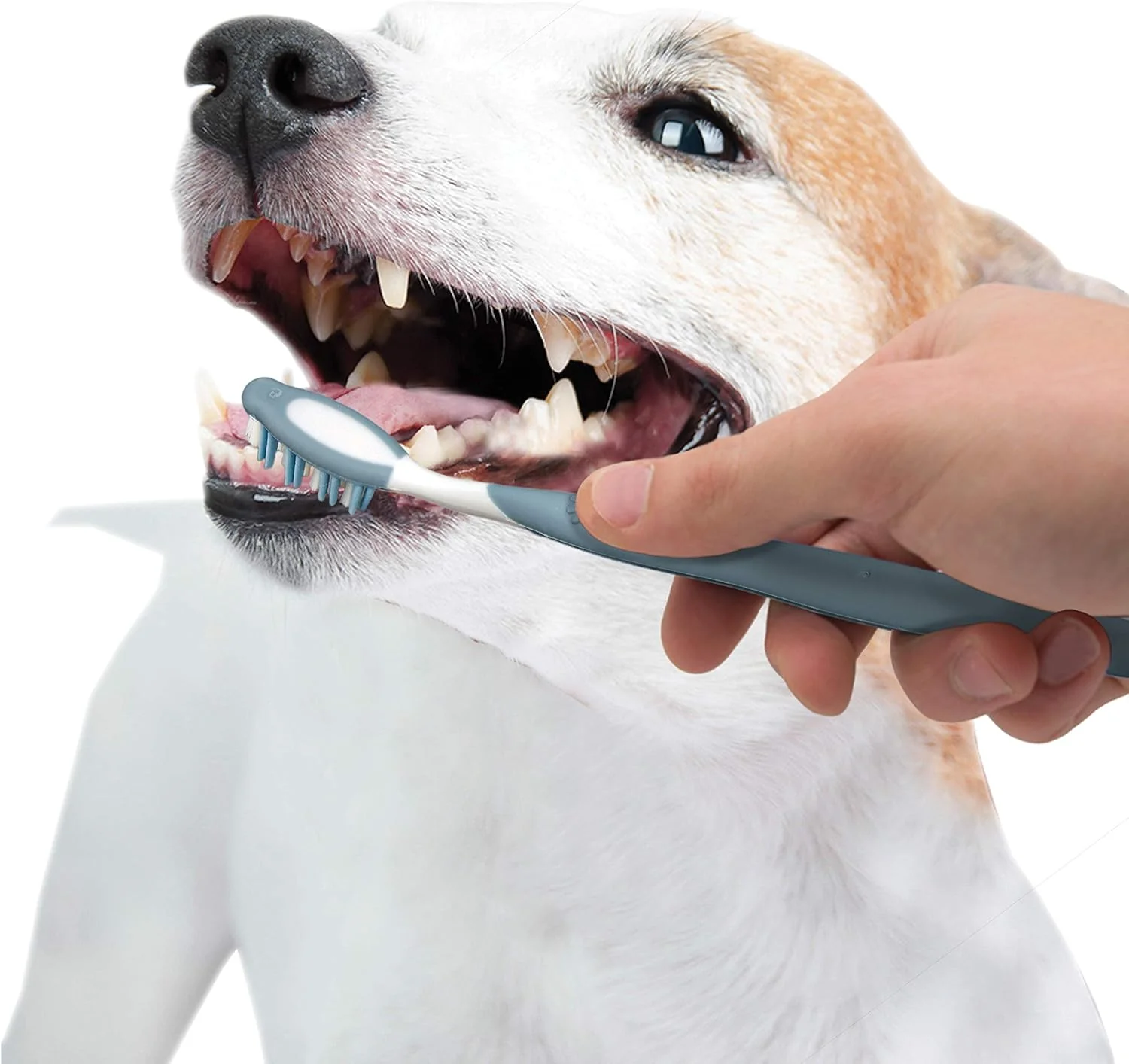 Nylabone Advanced Oral Care Dog Dental Kit Original Flavor - Image 11