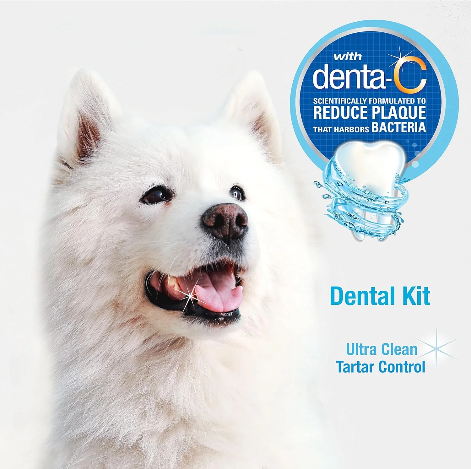 Nylabone Advanced Oral Care Dog Dental Kit Original Flavor - Image 5