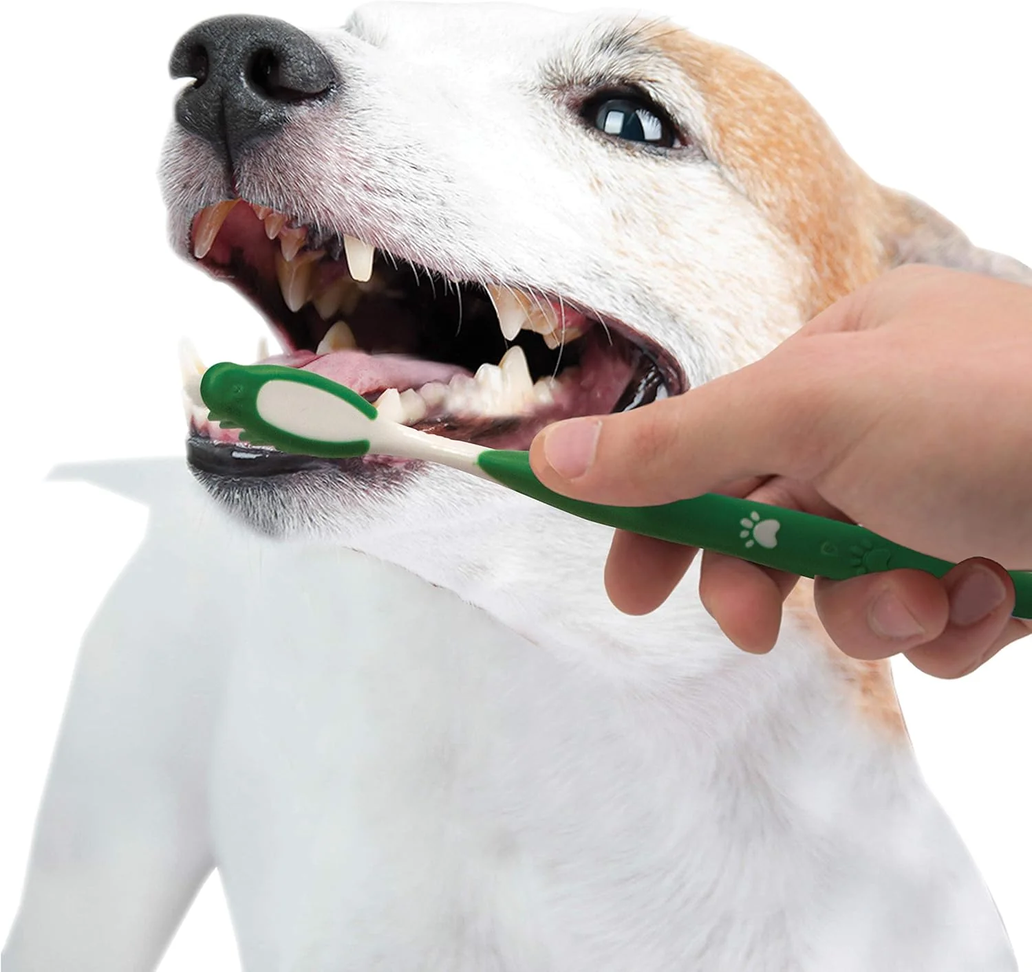 Nylabone Advanced Oral Care Natural Dog Dental Kit Peanut Flavor - Image 10