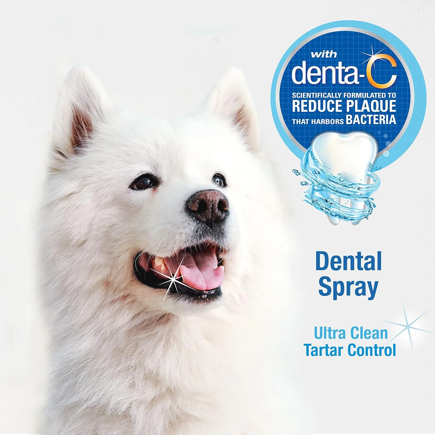 Nylabone Advanced Oral Care Pet Dental Spray, Liquid Tartar Remover & Breath Freshener for Dogs, Dog Teeth-Cleaning, 4 oz. - Image 3
