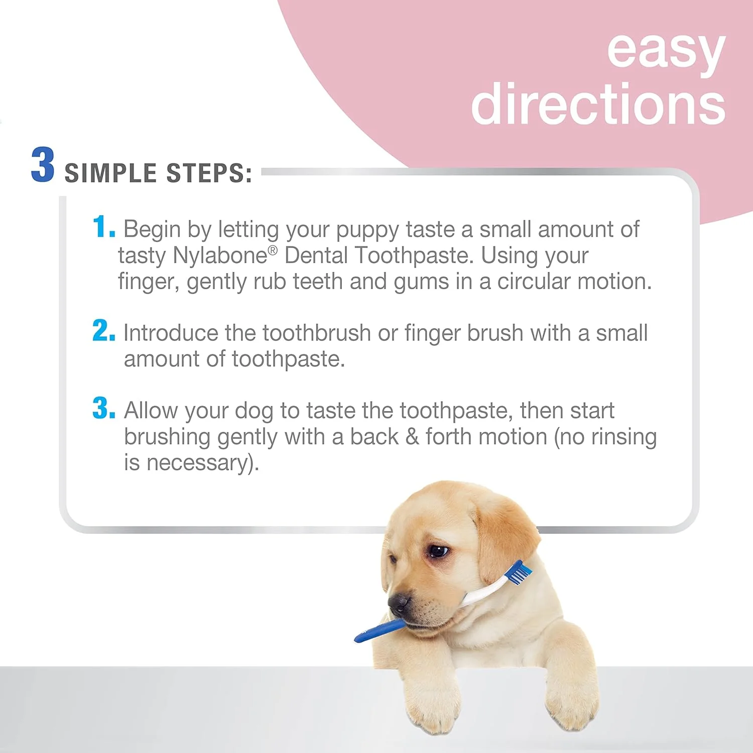 Nylabone Advanced Oral Care Puppy Dental Kit Puppy - Image 3