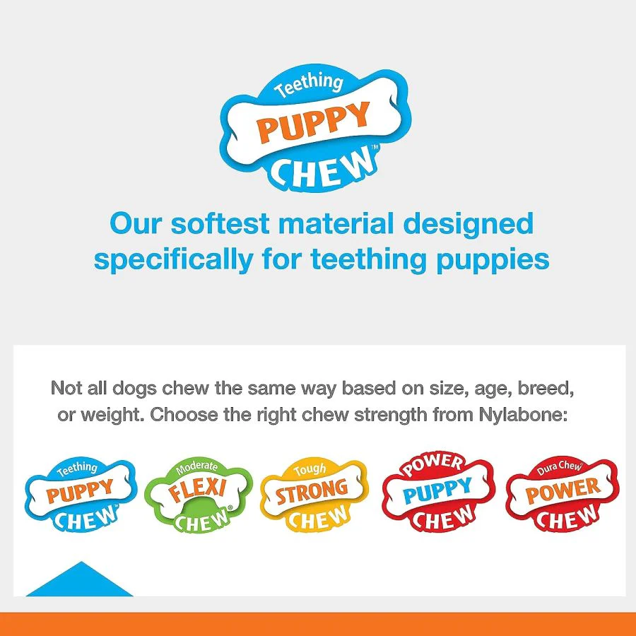 Nylabone Bacon Puppy Teething Keys, Small - Image 3