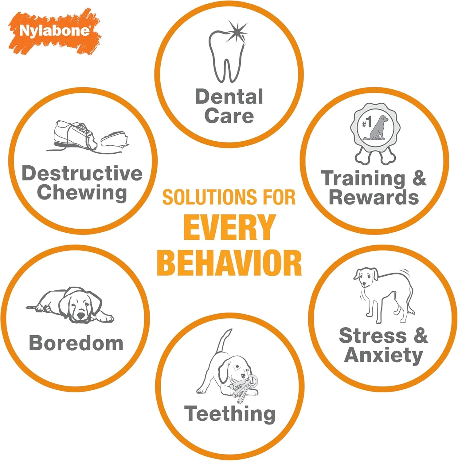 Nylabone Durable Dental Dinosaur Dog Chew - Image 5