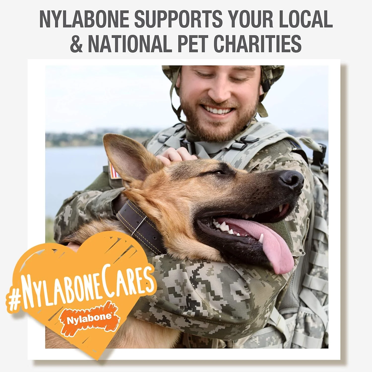 Nylabone Durable Dental Dinosaur Dog Chew - Image 6