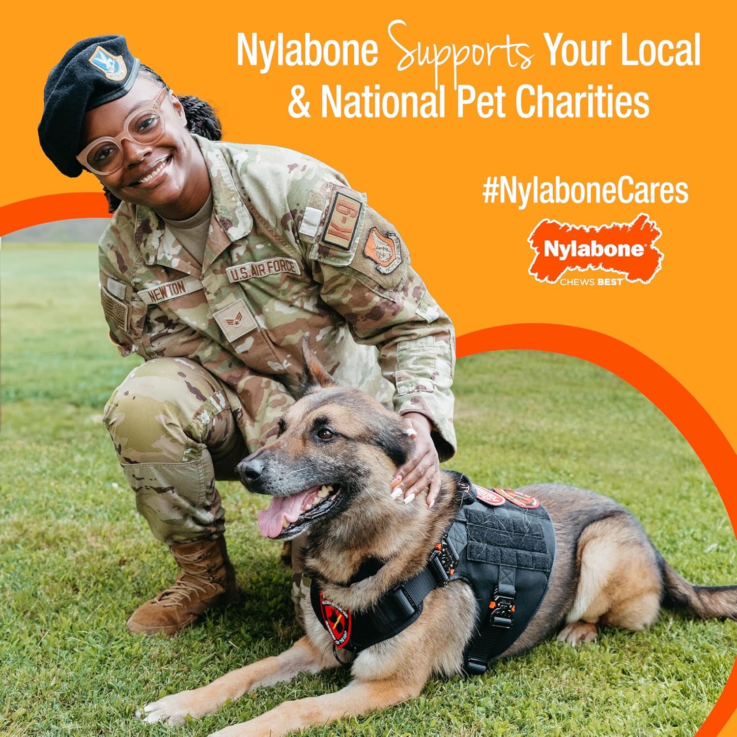Nylabone Healthy Edibles Broth Bone Natural Dog Chews Long Lasting Treats Ham Flavor - Image 7
