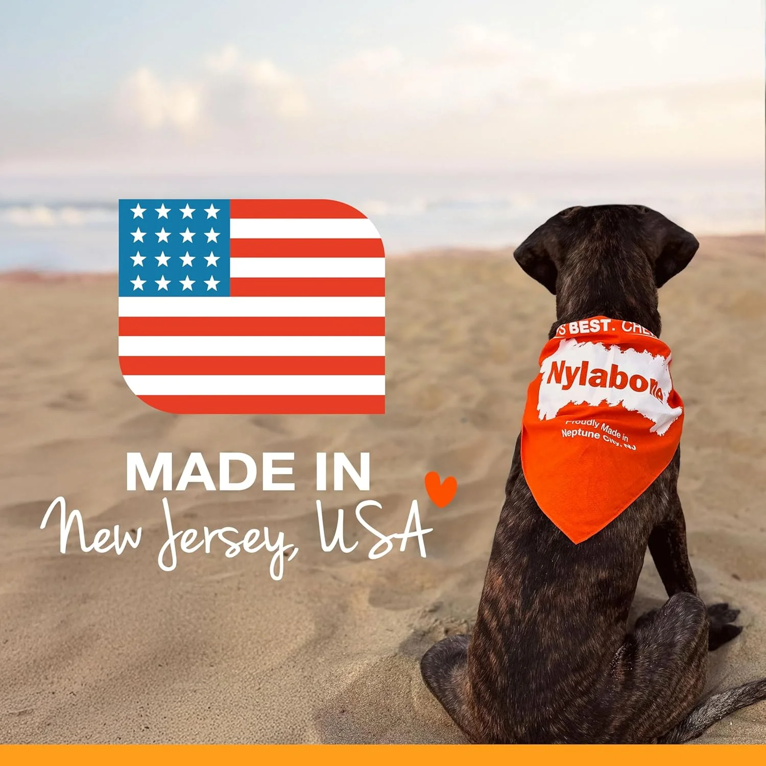 Nylabone Healthy Edibles Natural Dog Chews Long Lasting Chicken Flavor Treats for Dogs - Image 10