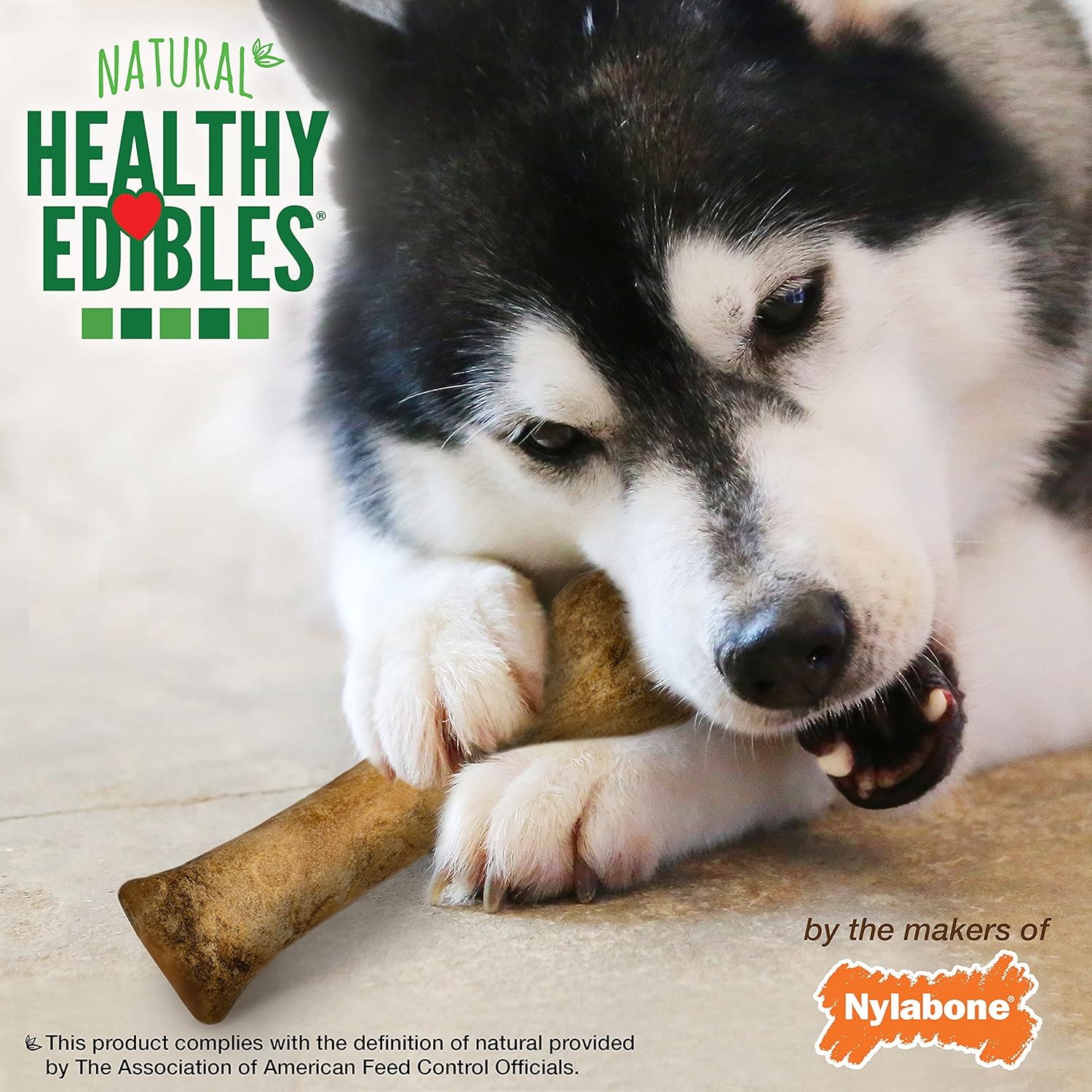 Nylabone Healthy Edibles Natural Dog Chews Long Lasting Chicken Flavor Treats for Dogs - Image 6