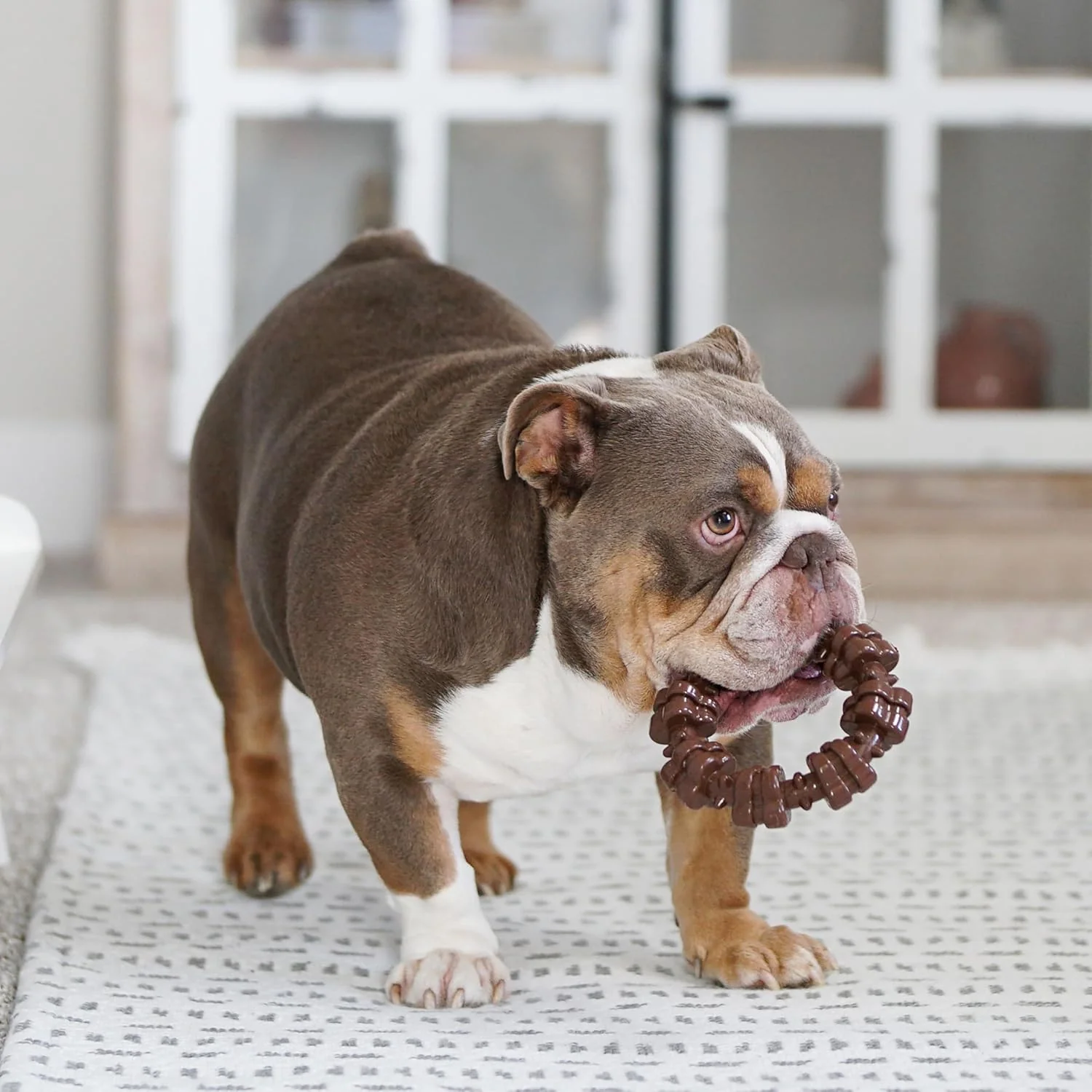 Nylabone Power Chew Textured Dog Chew Ring Toy, Dog Toys for Aggressive Chewers, Flavor Medley, X-Large/Souper (1 Count) - Image 5