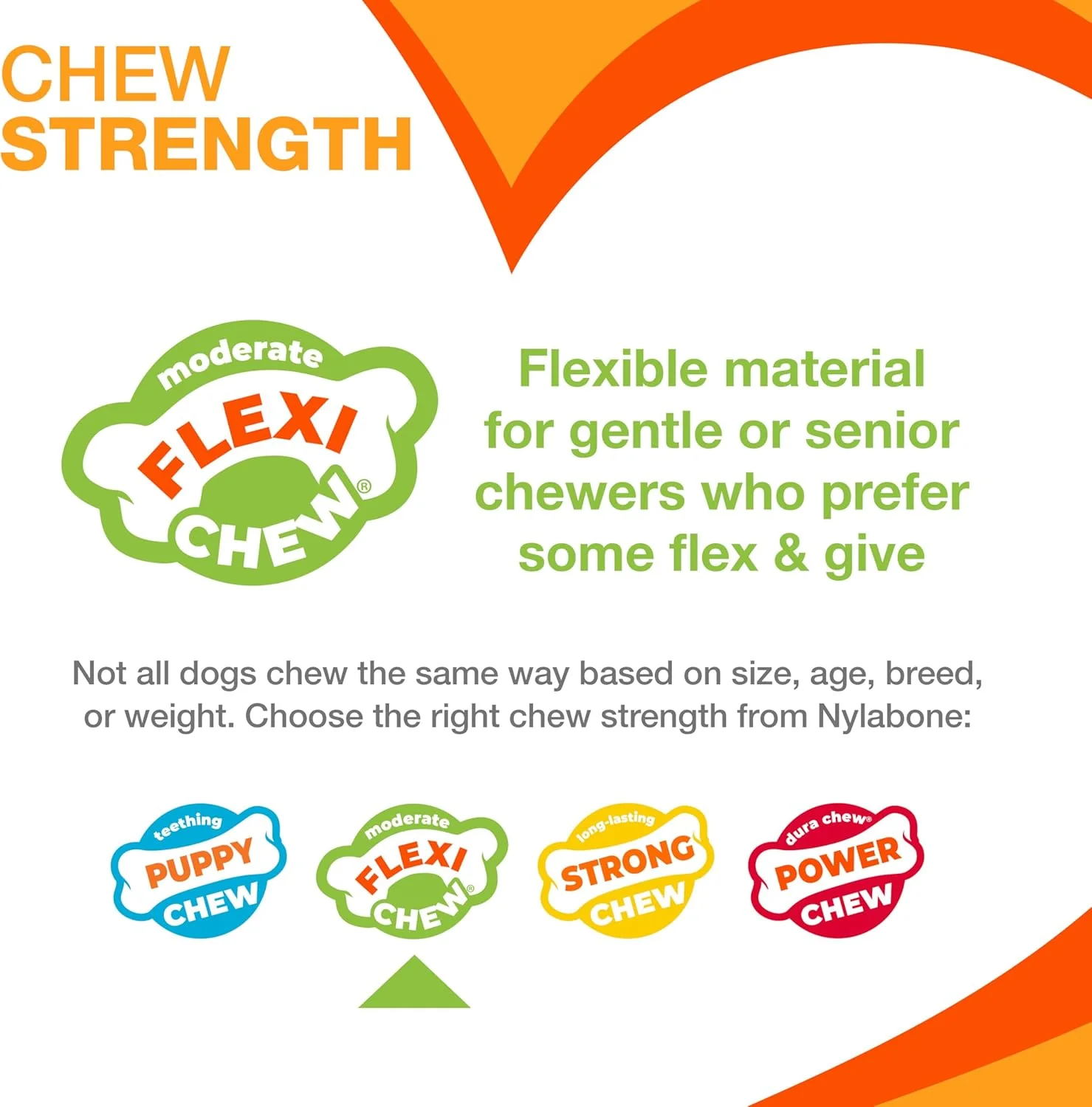 Nylabone Textured Dental Bone Flexi Chew Toy for Dogs, Dog Toys for Moderate Chewers, Chicken Flavor - Image 3