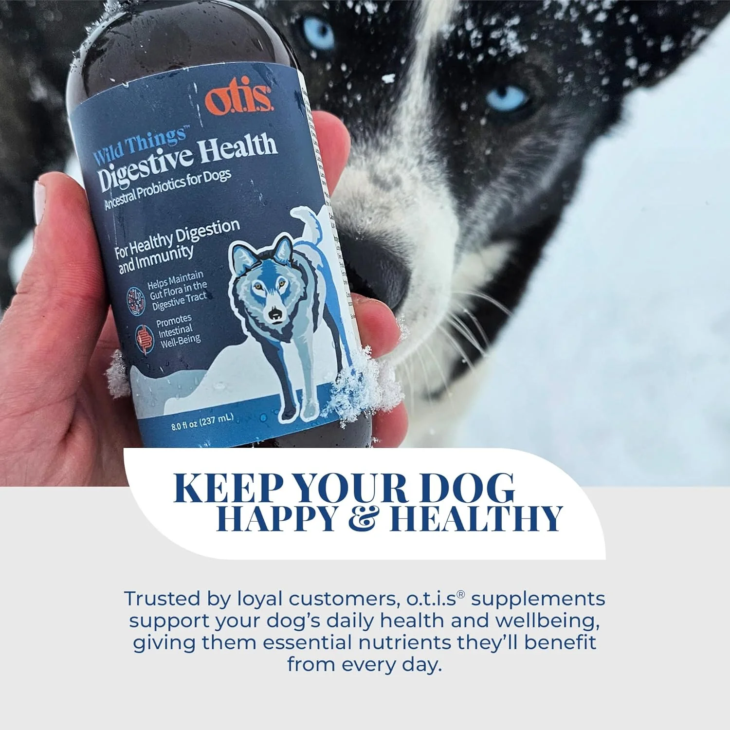 O.T.I.S. Wild Things Digestive Health Liquid Probiotic for Dogs – 8 fl oz – with Ancestral & Heritage Strains – Salmon Oil Base – Supports Gut, Immunity & Digestion - Image 6
