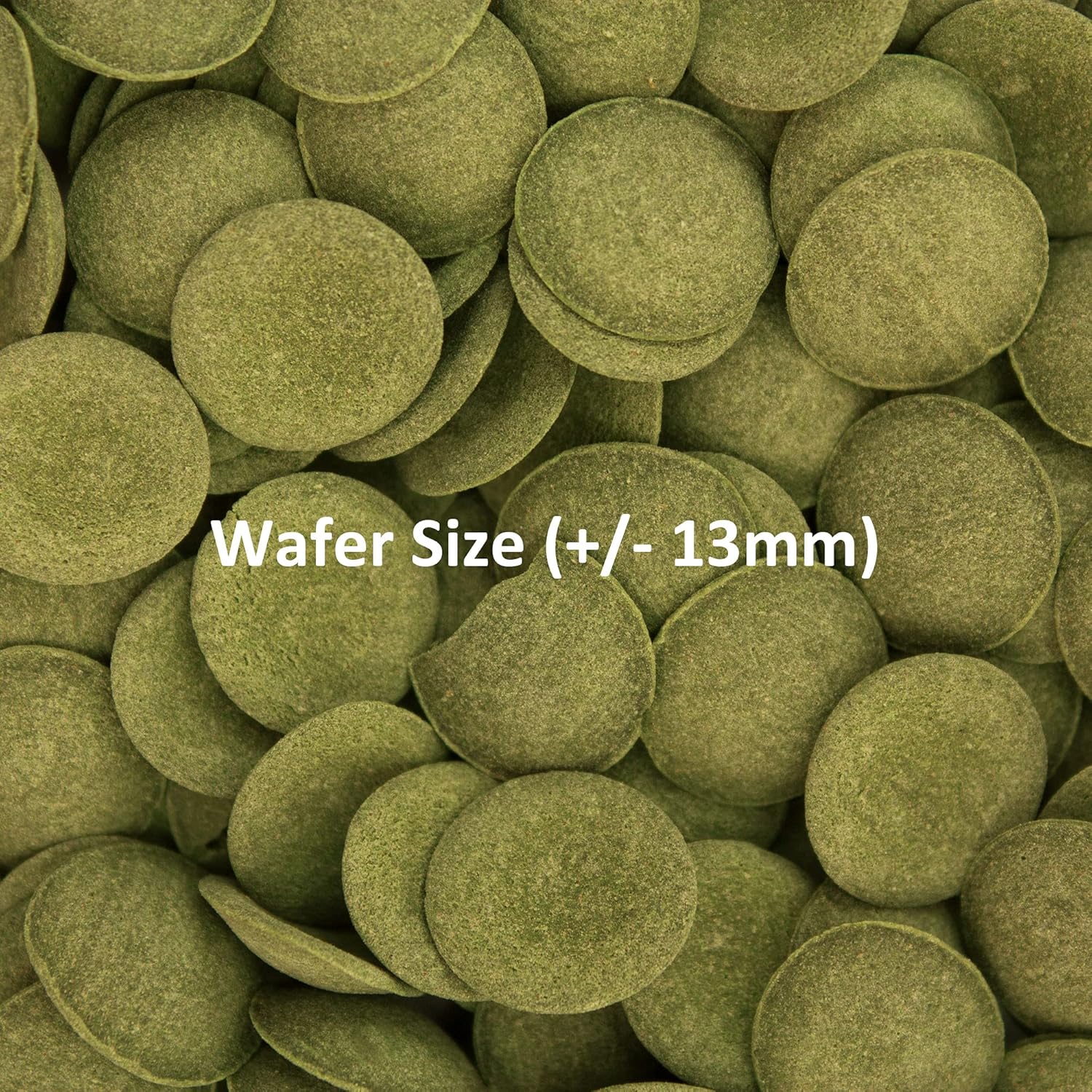 Ocean Nutrition Algae Wafers, Tropical Fish Food, Pleco Wafers, Algae Wafers for Bottom Feeders, Nutritionally Balanced Vegetarian Fish Food for Herbivorous Bottom Feeders - Image 6