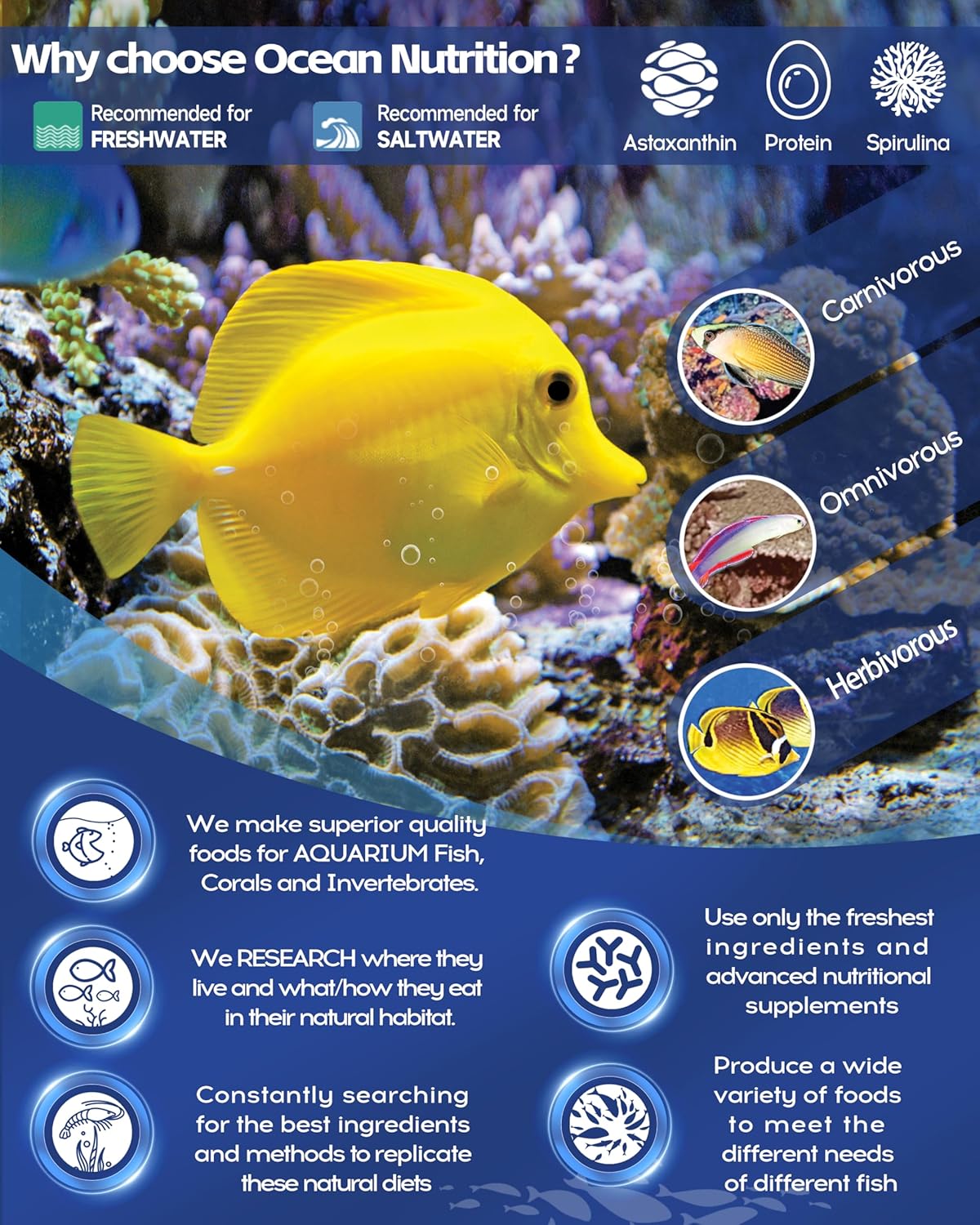 Ocean Nutrition Cichlid Vegi Formula Flake Fish Food - Natural Ingredient Fish Food Flakes for All Fish - Supports Health & Coloration, Does Not Cloud Water, Made in USA, 1.2 oz (34 g) - Image 6