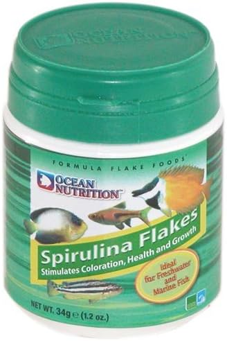 Ocean Nutrition Fish Food - Cichlid Fish Food, High Protein Fish Flakes, Tropical Fish Flakes, Ideal Cichlid Food for Angelfish, Kribensis, Ram Cichlids and More, Made in The USA, 1.2 oz (34 g) - Image 4