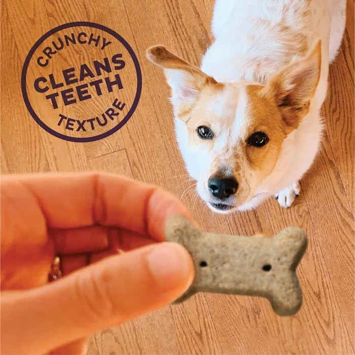 Old Mother Hubbard Classic Crunchy Natural Assorted Dog Small Biscuits - Image 7