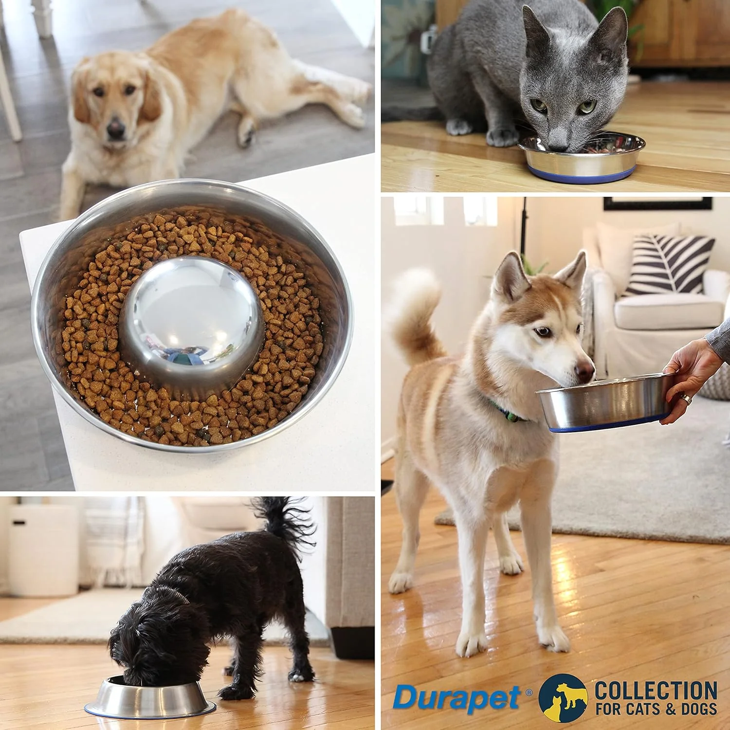 OurPet's DuraPet Premium Dishwasher Safe Stainless Steel Dog Bowl for Food or Water [Multiple Sizes for Small to Large Dogs] in Traditional or Wide Base Design - Image 7