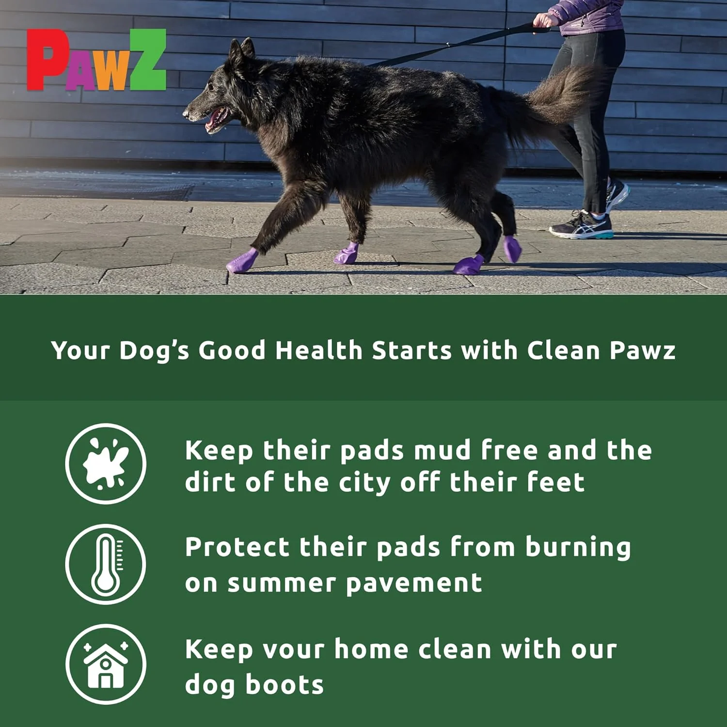 Pawz Purple Water-Proof Dog Boots, 12 Disposable-Reusable Boots - Image 2