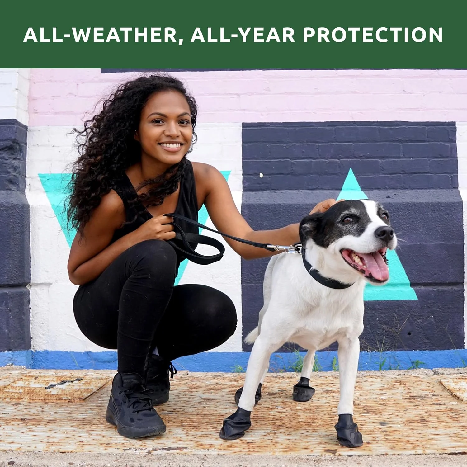 Pawz Purple Water-Proof Dog Boots, 12 Disposable-Reusable Boots - Image 5