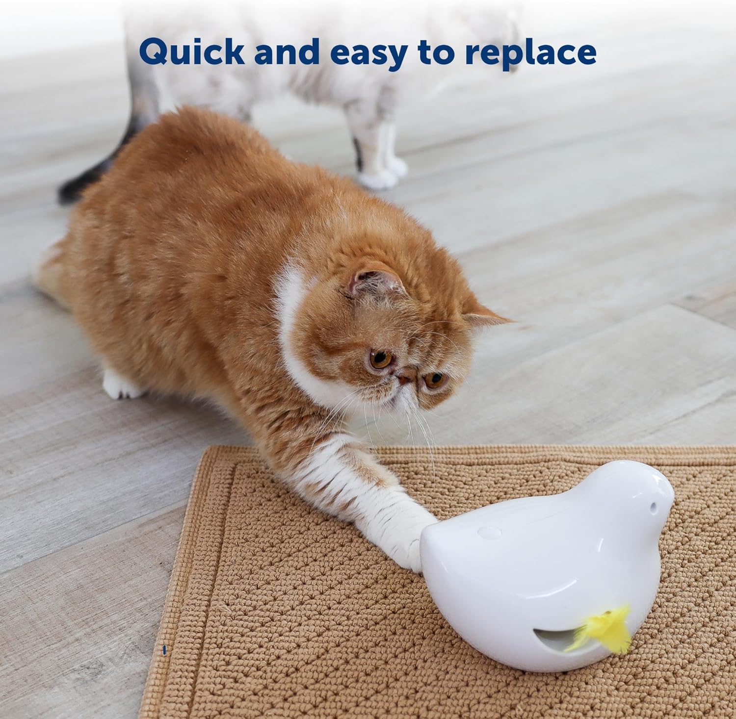 Peek-A-Bird Cat Toy Replacement Feathers – 2 Pack Refill Parts – Interactive Teaser Toy for Indoor Cats - Image 4
