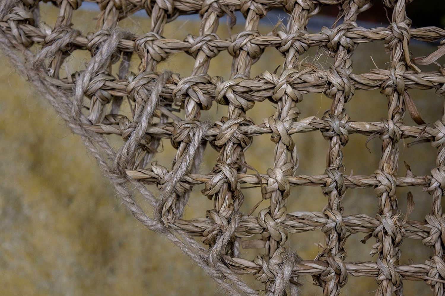 PENN-PLAX Reptology Lizard Lounger Corner Triangle – 100% Natural Seagrass Fiber – Great for Bearded Dragons, Anoles, Geckos, Iguanas, and Other Reptiles - Image 7