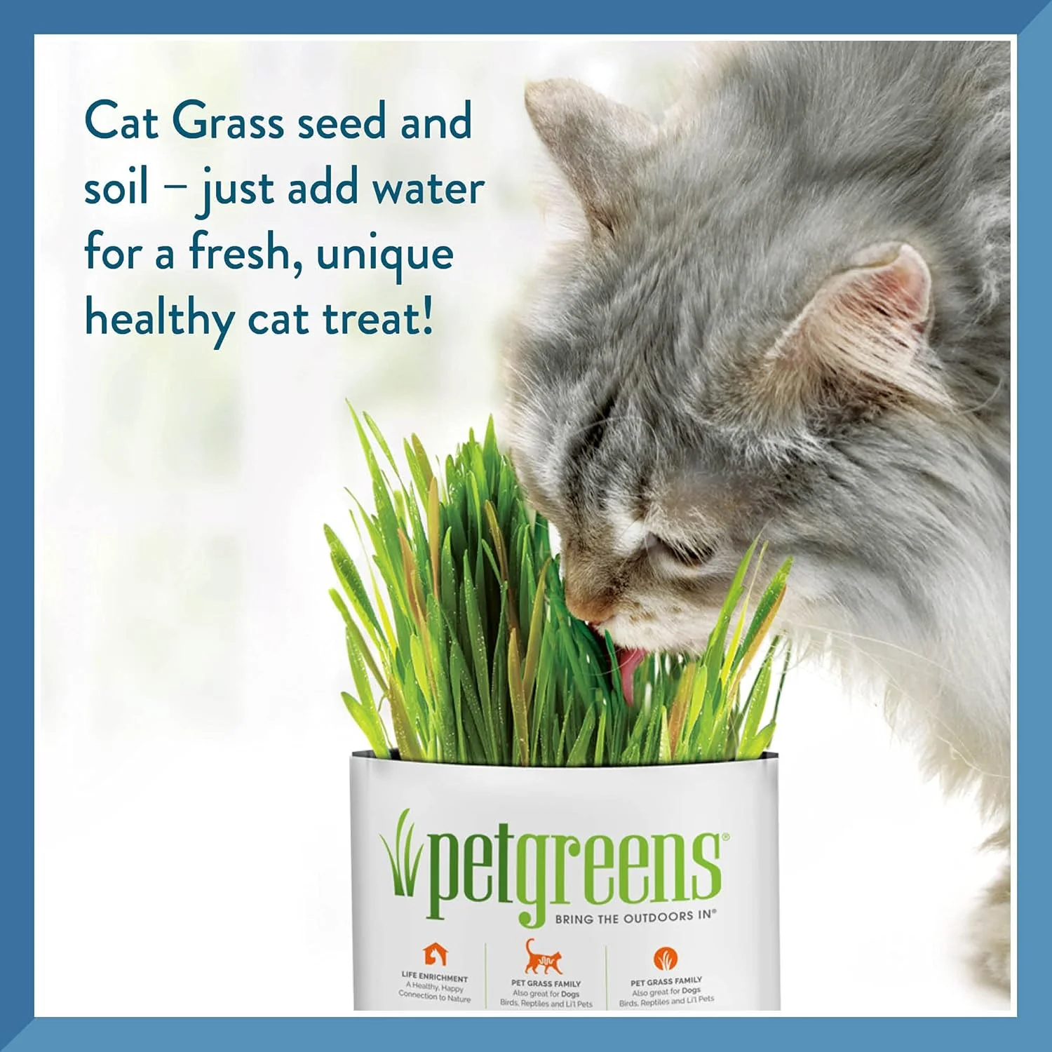 Pet Greens Self-Grow Pet Grass Kit - Image 5