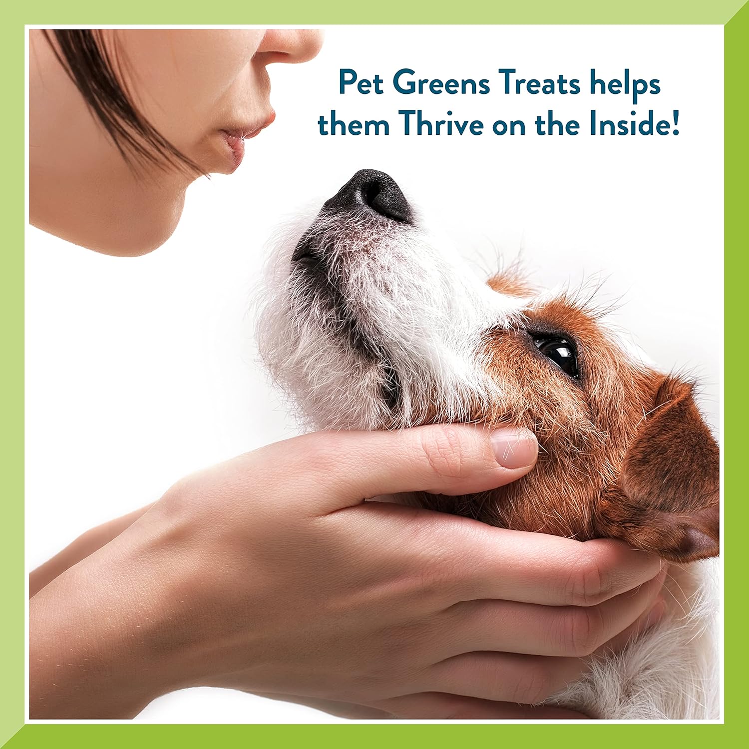 Pet Greens Treats Roasted Chicken Semi-Moist Dog Treat Orange 6 Ounce (Pack of 1) - Image 5