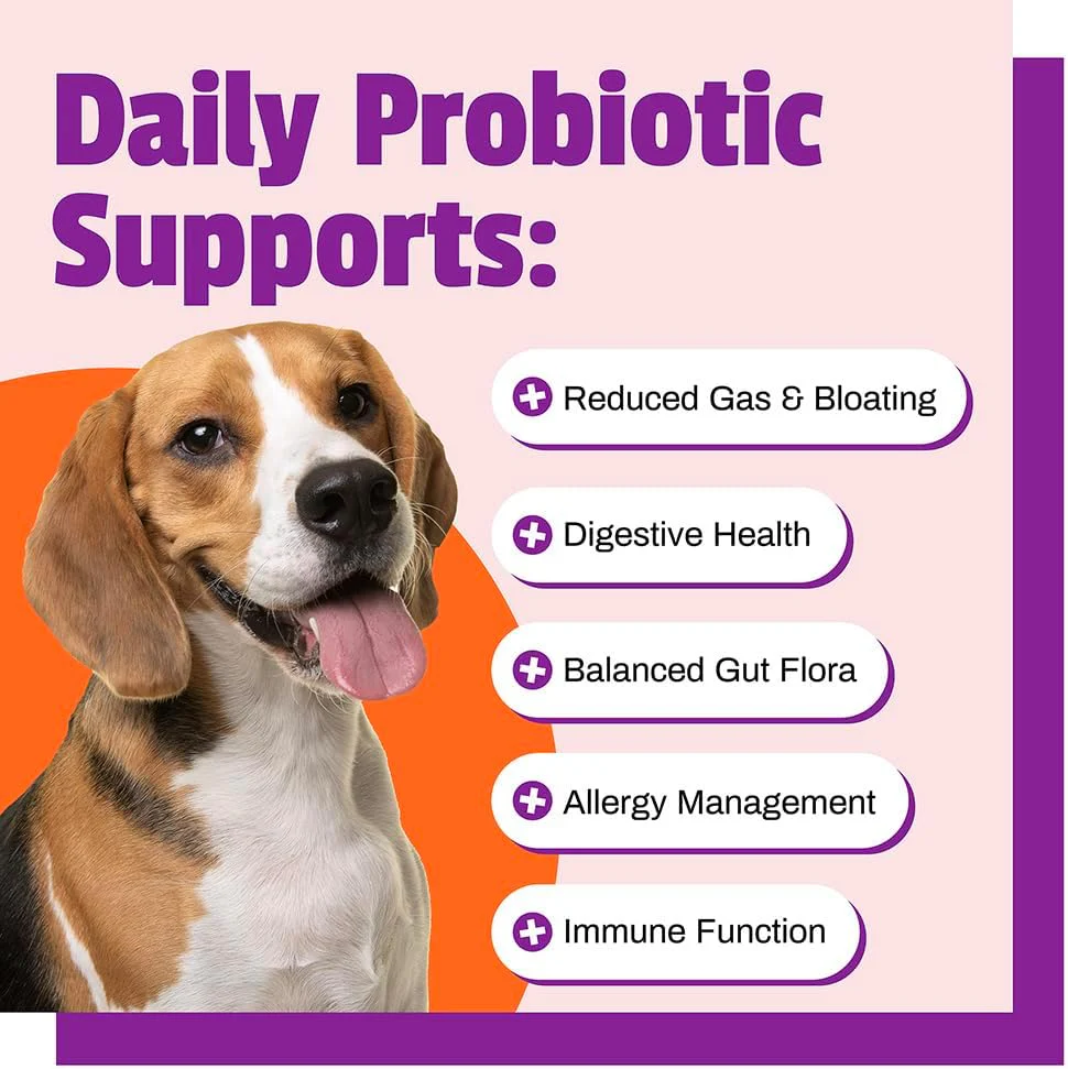 Pet Naturals Daily Probiotic for Dogs, 120M CFUs - Pre and Probiotics for Dogs Digestive Health, Gut Health, Immune Support, Diarrhea, Allergies and Itching - 60 Chews, Duck Flavor - Image 4