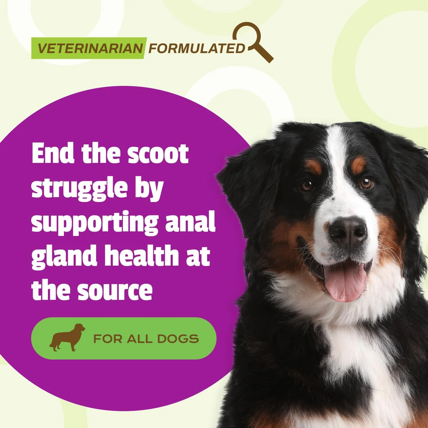 Pet Naturals Scoot Bars for Dogs, Digestive Support, Duck Flavor 30 count - Image 2