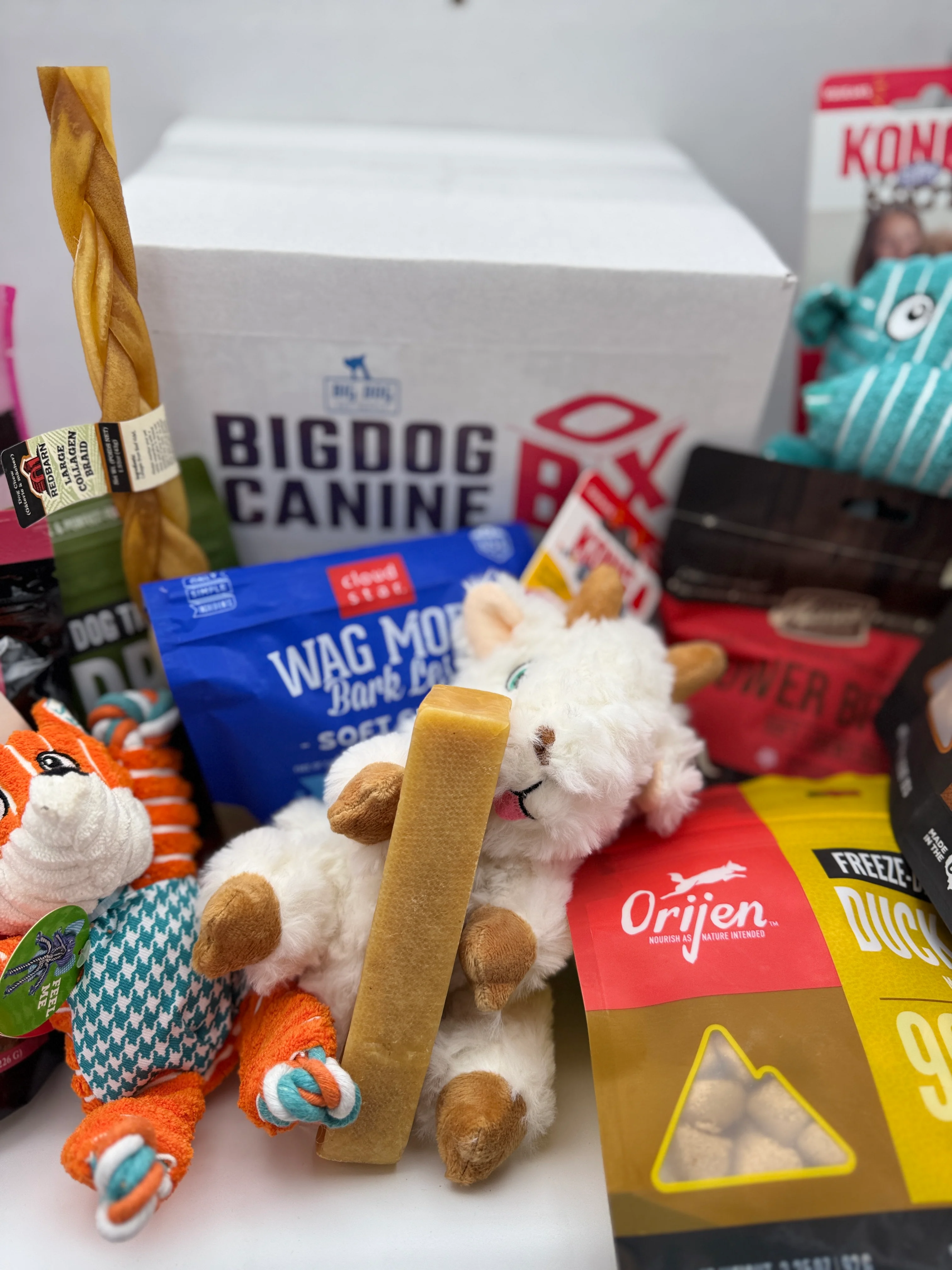 Big Dog Canine Box for Large Dogs – New Surprise of Premium Treats & Toys Every Time You Order - Image 7