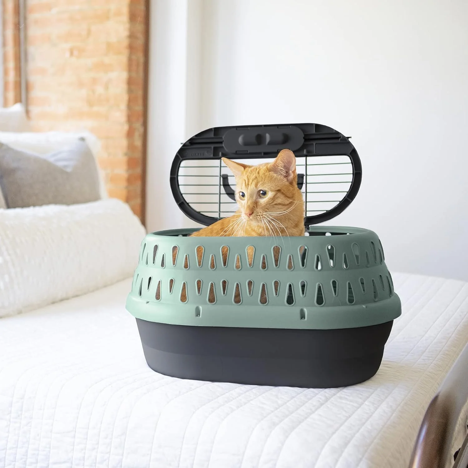 Petmate Dog Crates for Small Dogs & Cat Carriers, One-Door Plastic Pet Kennel, Front Loading, Made in USA - Image 2