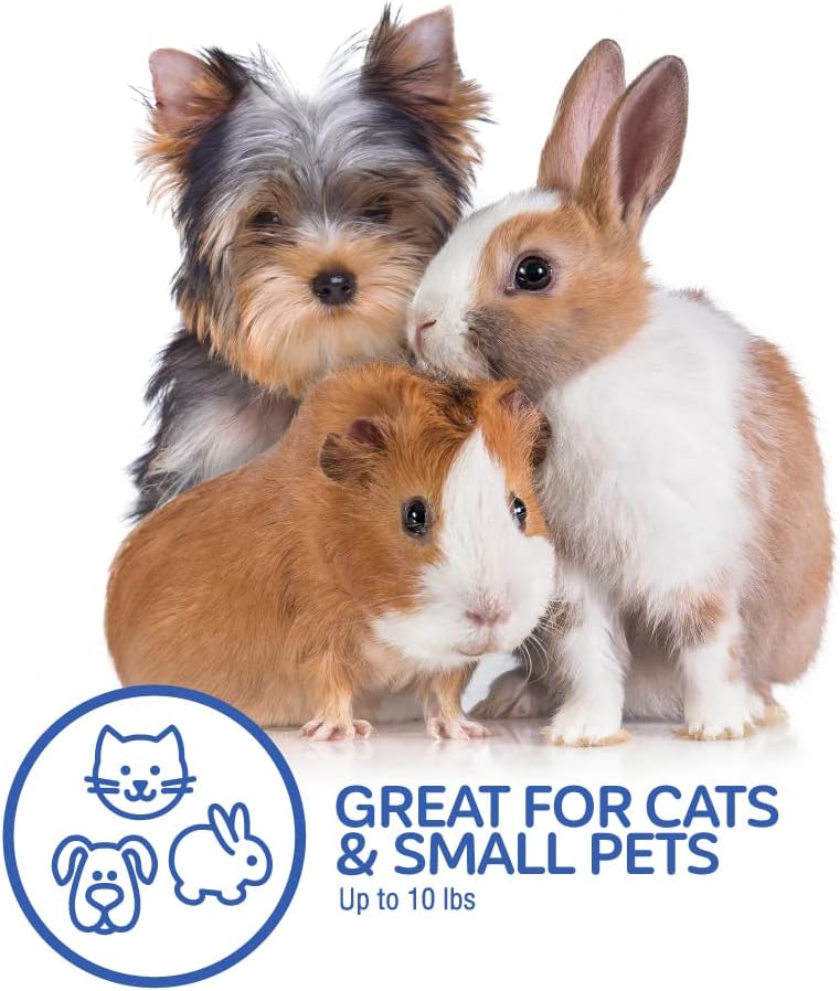 Petmate Dog Crates for Small Dogs & Cat Carriers, One-Door Plastic Pet Kennel, Front Loading, Made in USA - Image 6