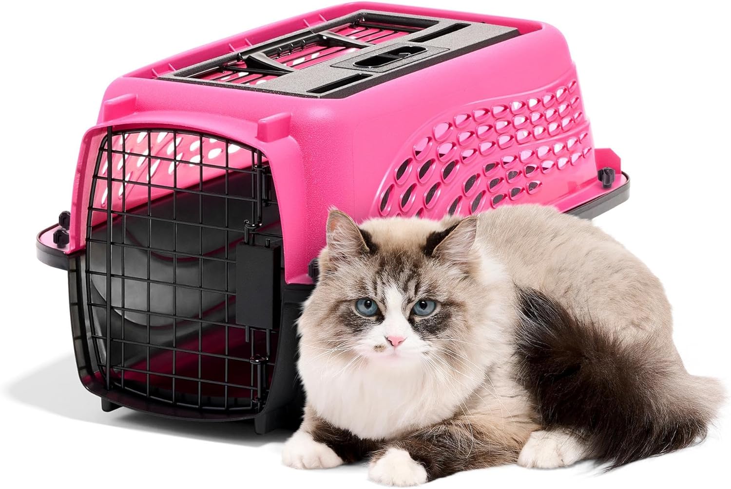 Petmate Dog Crates for Small Dogs & Cat Carriers, Two-Door Plastic Pet Kennel, Top & Front Loading, Made in USA - Image 2