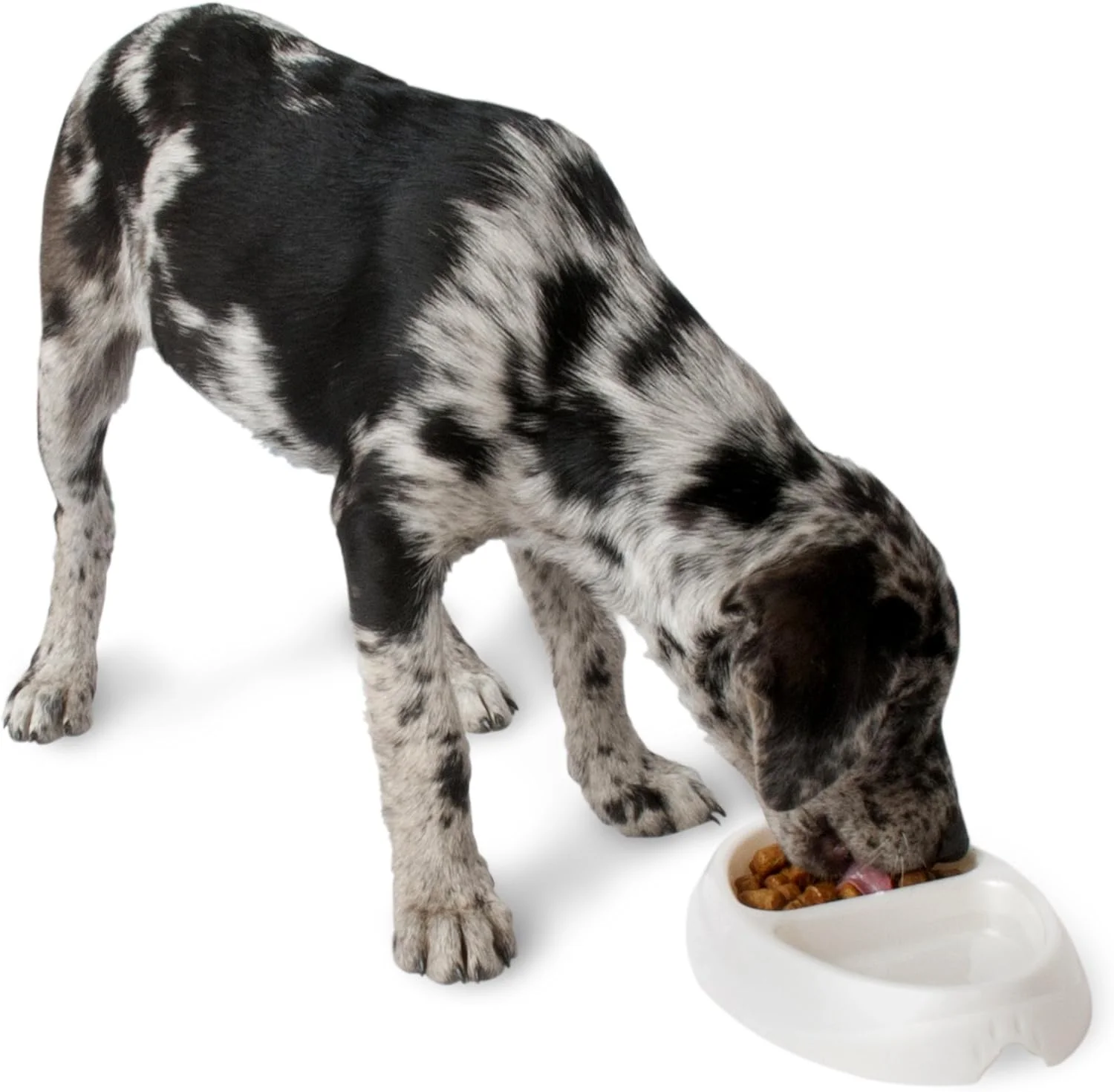 Petmate Double Dish Ultra-Light Microban Pet Dish - Image 2