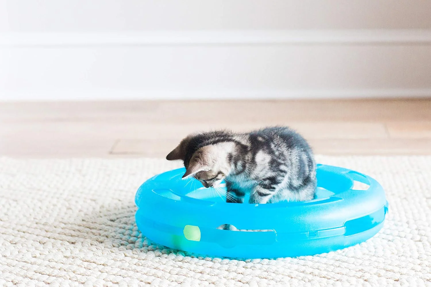 Fat Cat Crazy Circle with Catnip Ball Interactive Cat Toy - Image 3